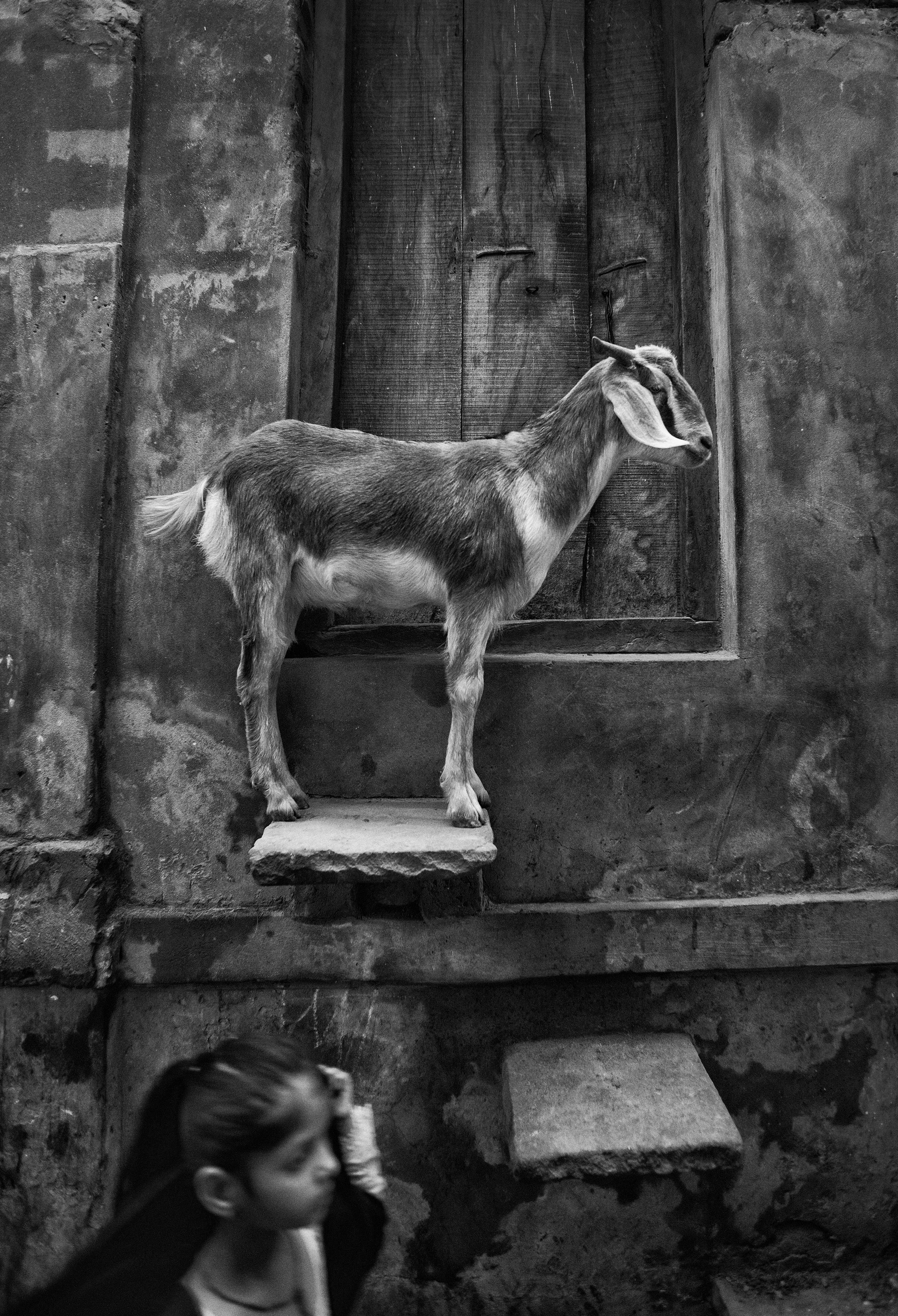 Varanasi, India . ©Russell Shakespeare 2016