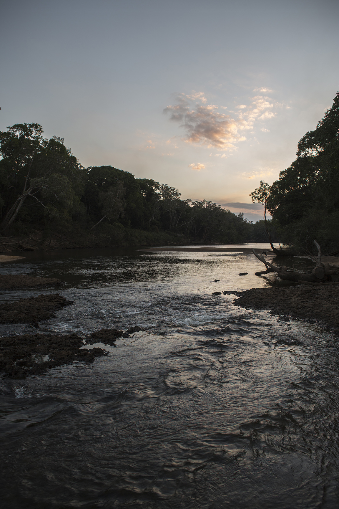  Steve Irwin Wildlife Reserve, Cape York, Australia.  © Russell Shakespeare/Australia Zoo 