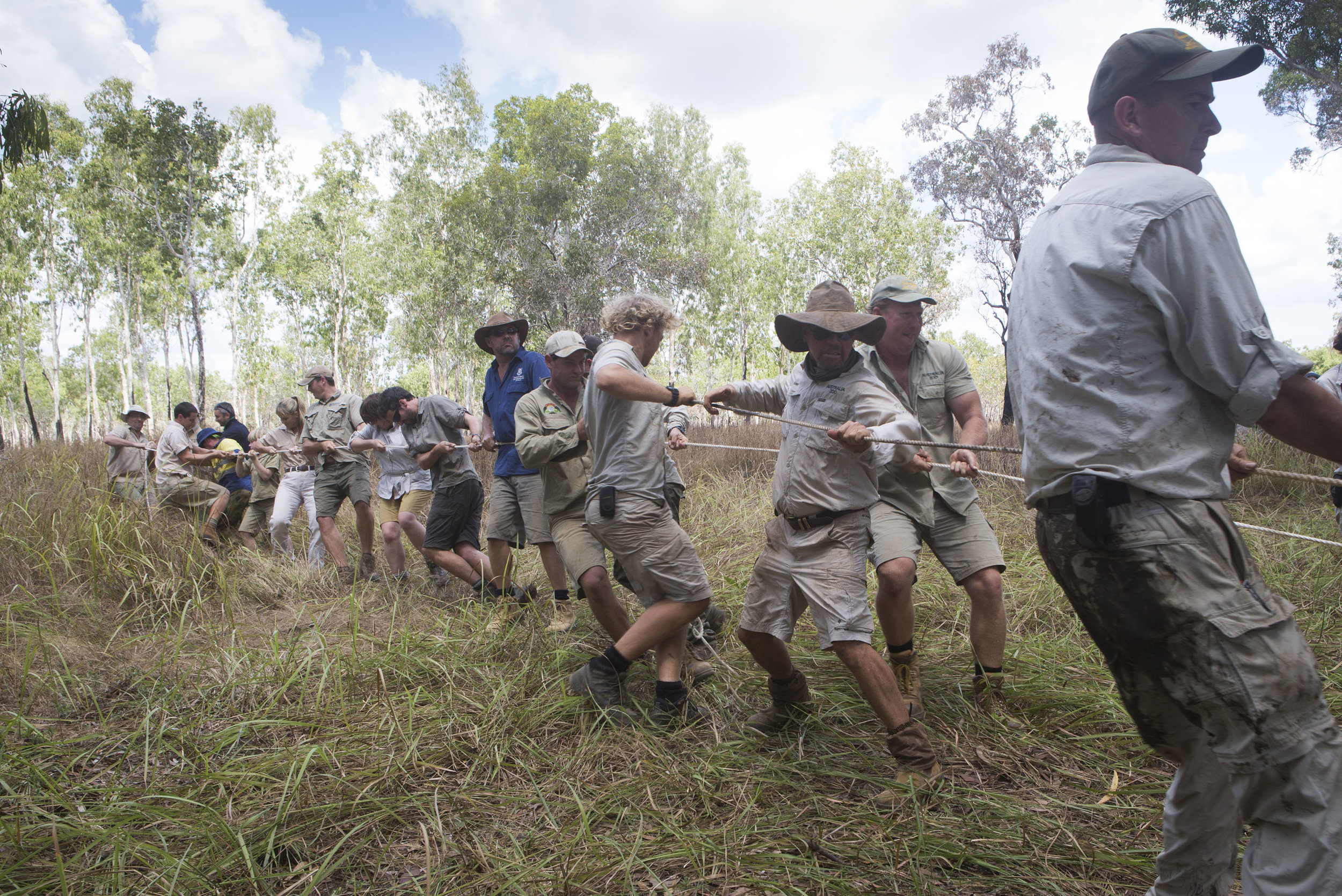  Croc Team all helping to pull the 15.5foot crocodile (in the floating trap onto land)  Steve Irwin Wildlife Reserve, Cape York, Australia.  © Russell Shakespeare/Australia Zoo 