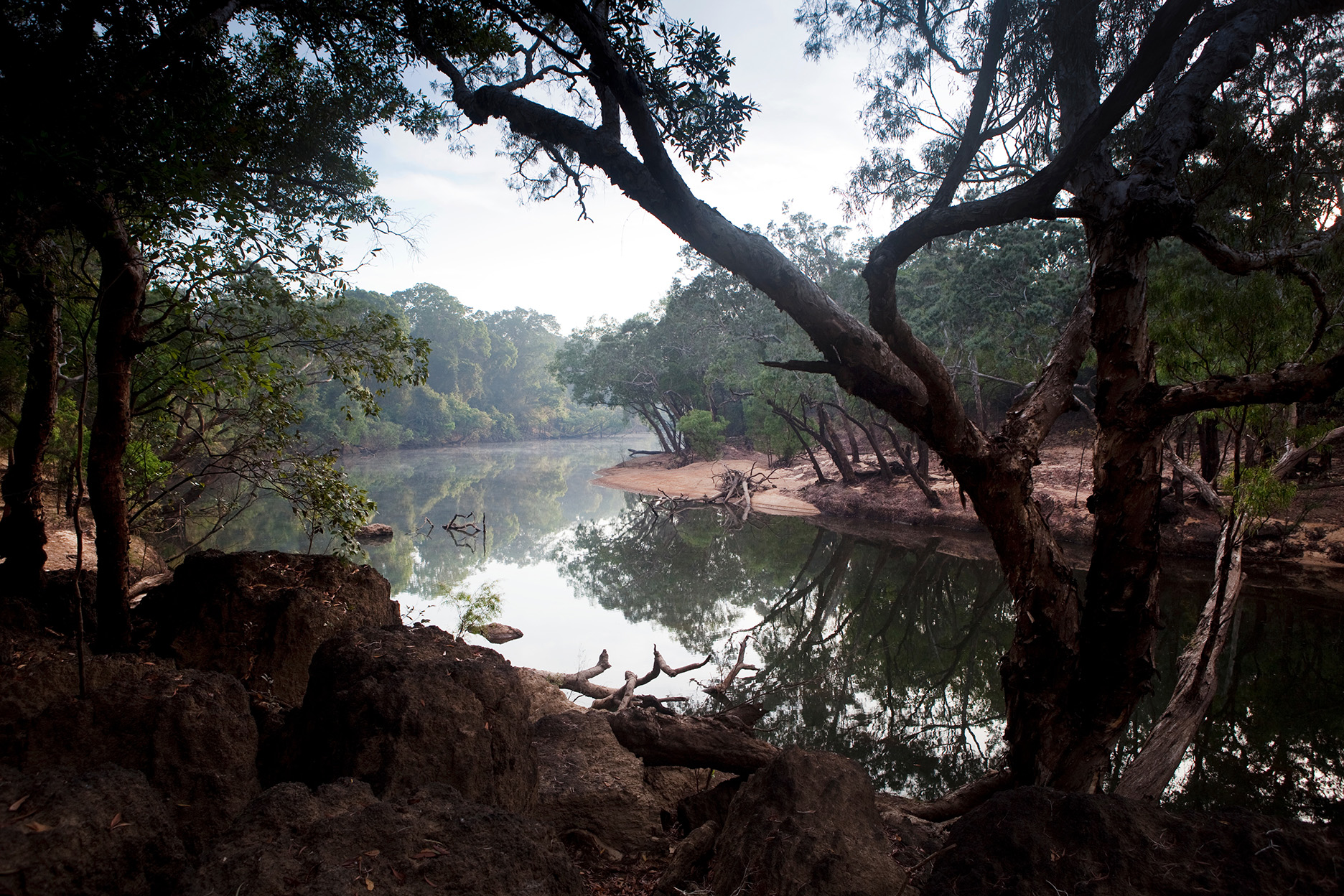  Steve Irwin Wildlife Reserve, Cape York, Australia.  © Russell Shakespeare/Australia Zoo 