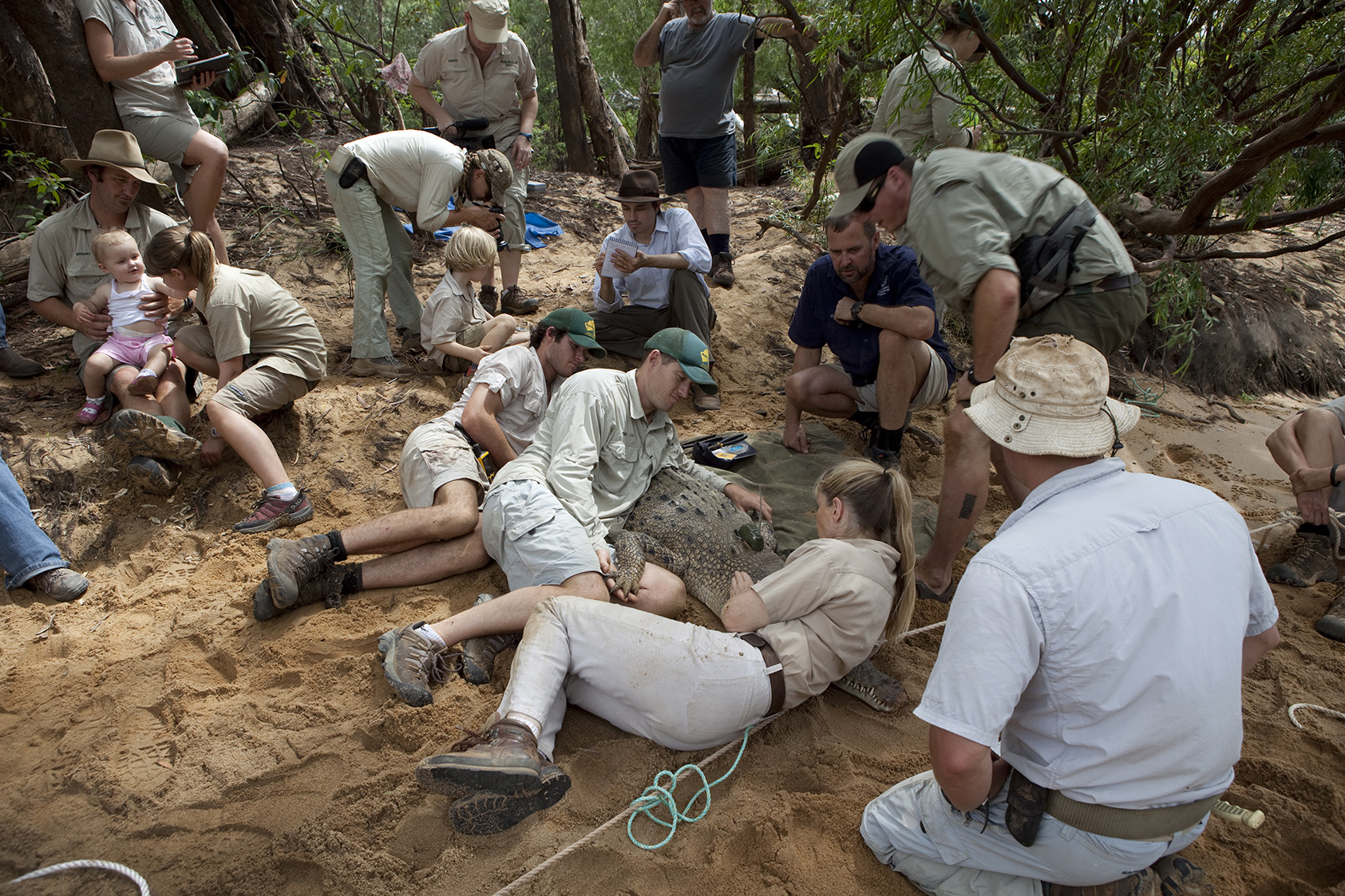  Steve Irwin Wildlife Reserve, Cape York, Australia.  © Russell Shakespeare/Australia Zoo 