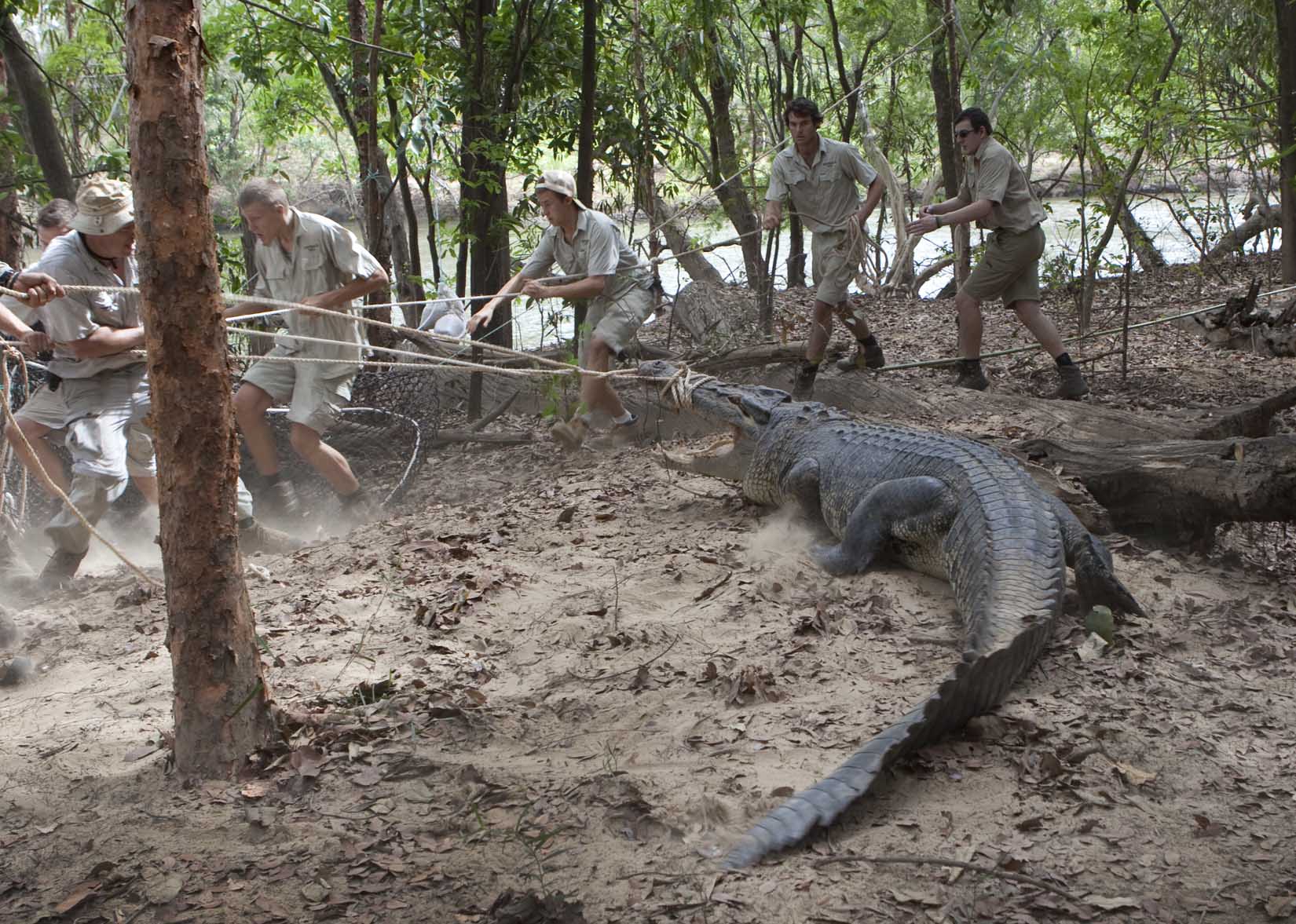  Steve Irwin Wildlife Reserve, Cape York, Australia.  © Russell Shakespeare/Australia Zoo 