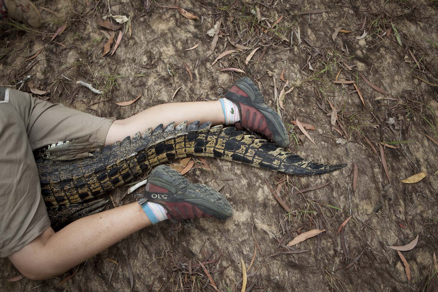  Steve Irwin Wildlife Reserve, Cape York, Australia.  © Russell Shakespeare/Australia Zoo 