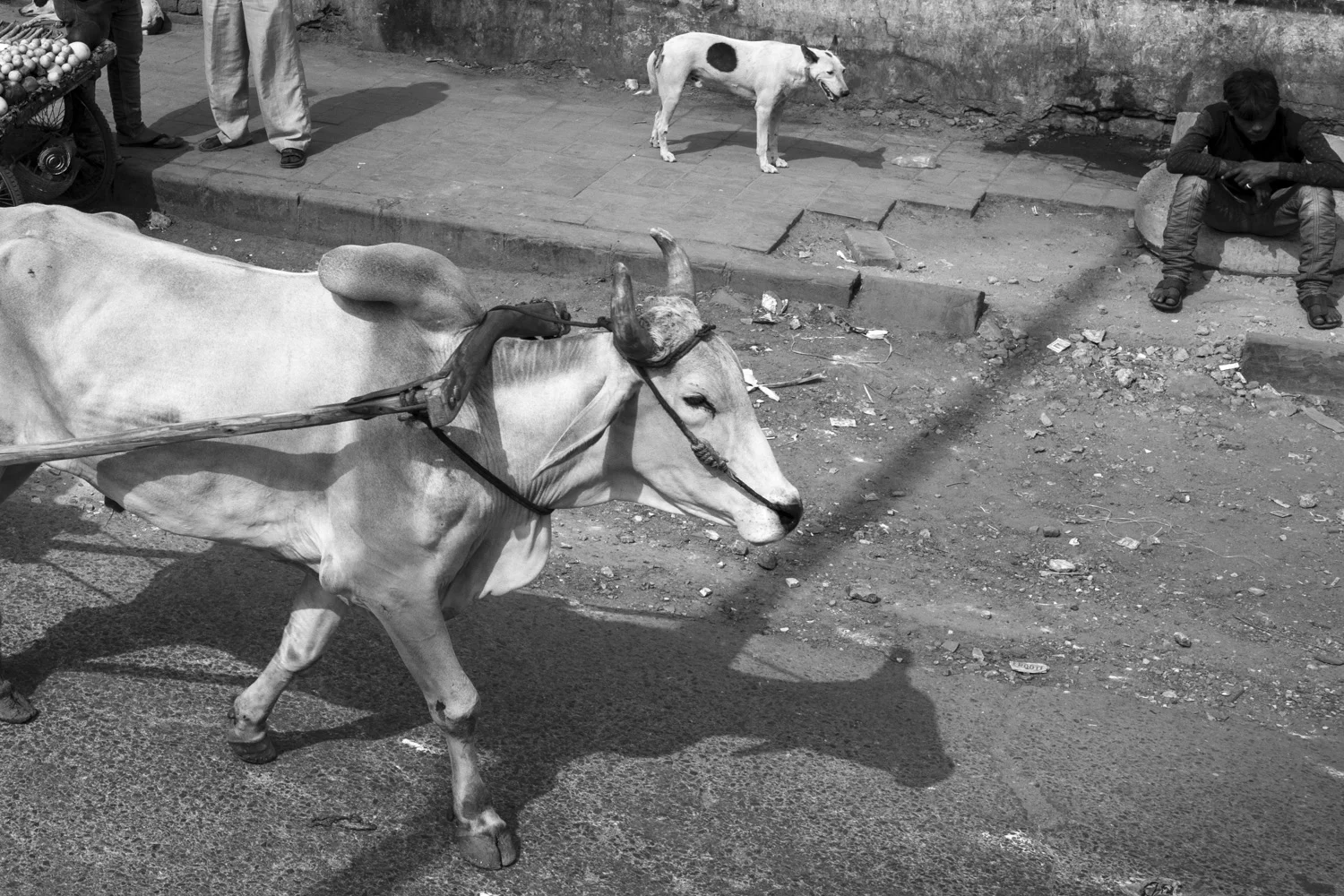 Delhi, India