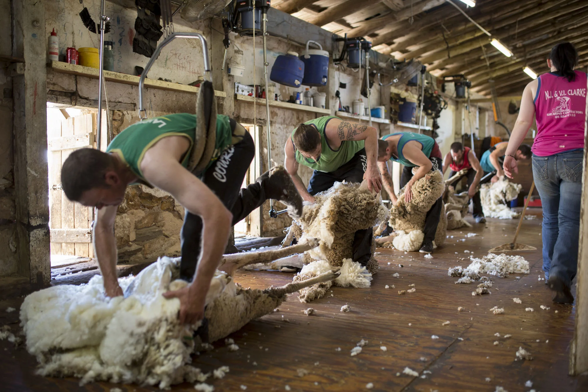“CLICK GO THE SHEARS – FOR 175 YEARS” EVENT at Bungaree Station, South Australia.
Shearing Contractors for Neville Clarke, NJ & VI Clarke Shearing