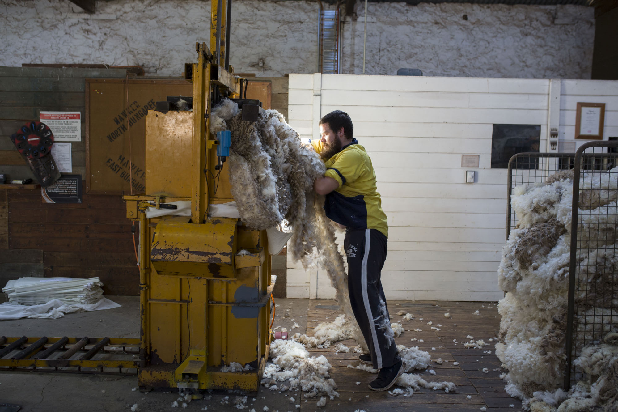  “CLICK GO THE SHEARS – FOR 175 YEARS” EVENT at Bungaree Station, South Australia.
Shearing Contractors for Neville Clarke, NJ & VI Clarke Shearing. 
Stephen Hean pressing the wool into bales   
