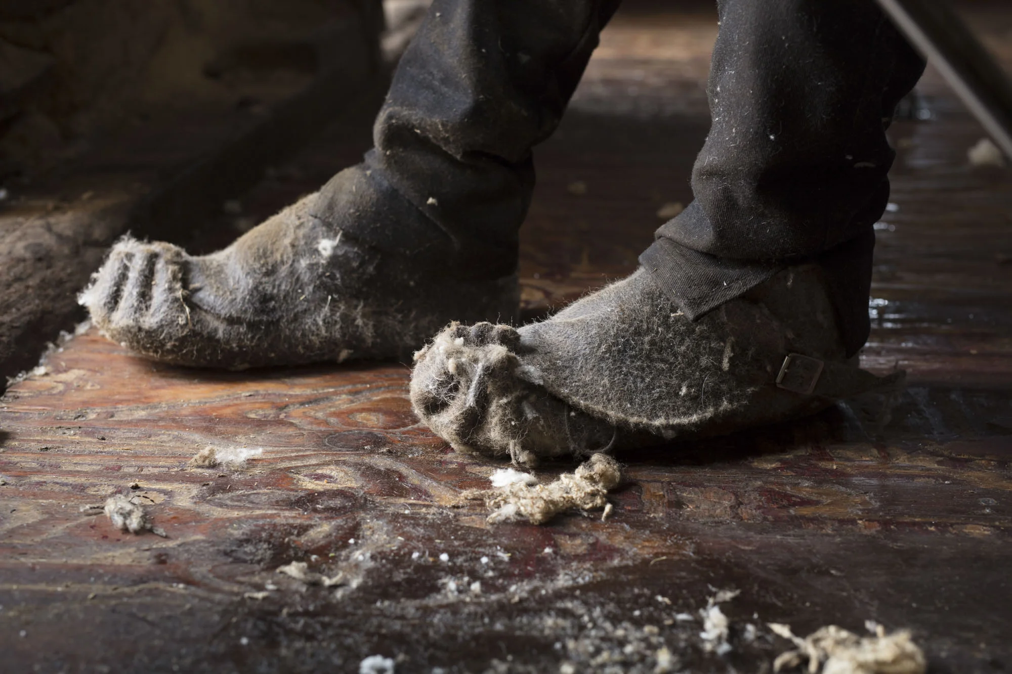 “CLICK GO THE SHEARS – FOR 175 YEARS” EVENT at Bungaree Station, South Australia.
Shearing Contractors for Neville Clarke, NJ & VI Clarke Shearing, shearers sheepskin shoes