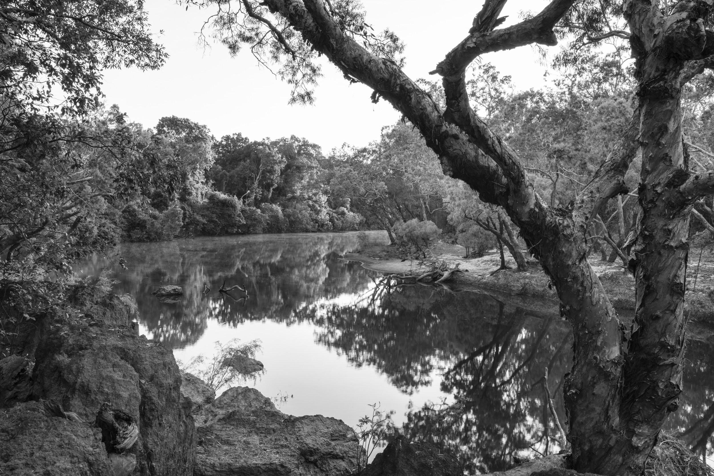 Steve Irwin Wildlife Reserve