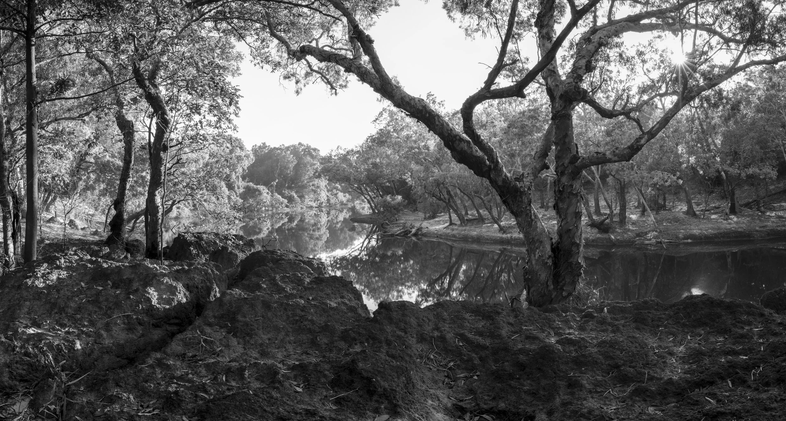 Steve Irwin Wildlife Reserve