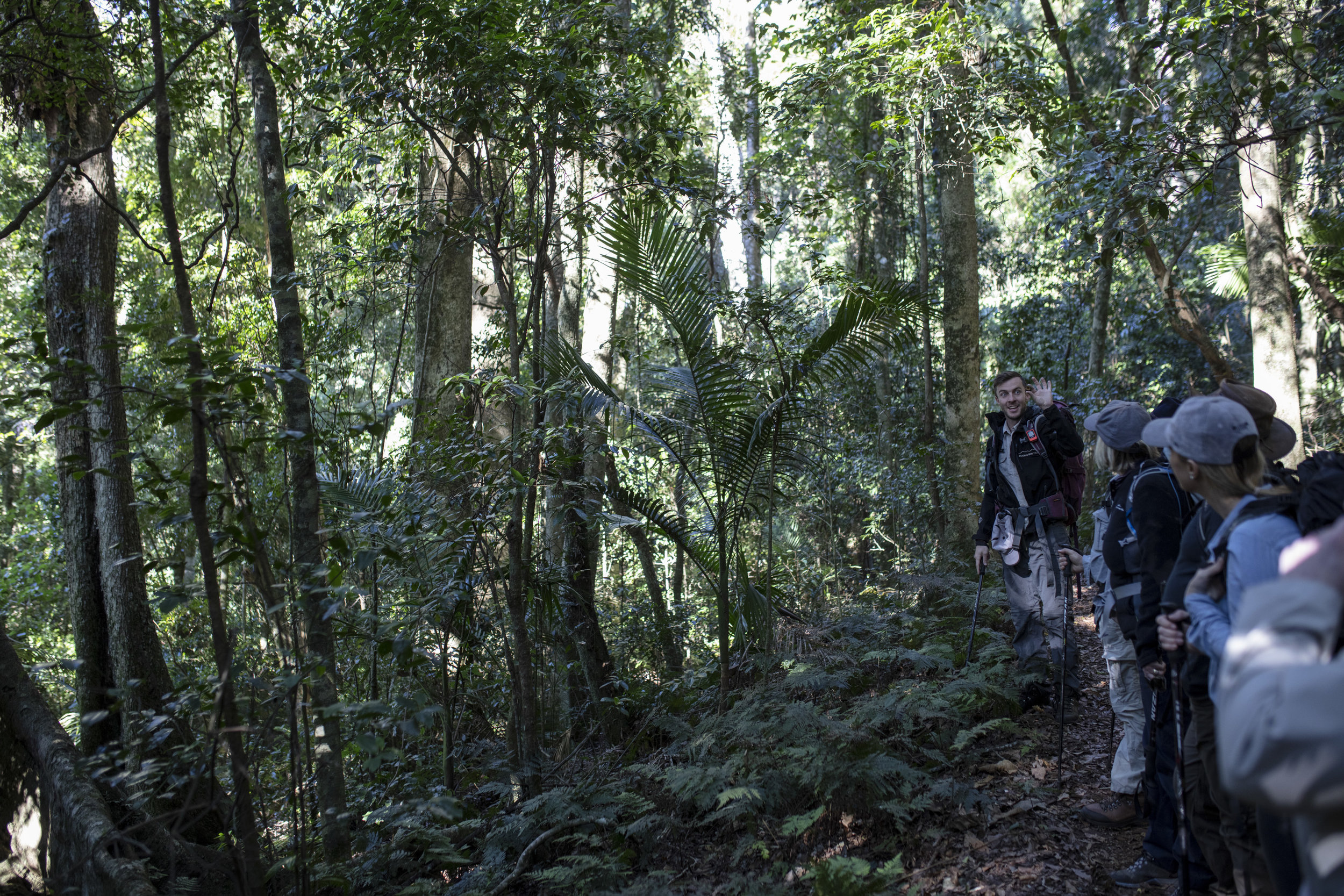  Qantas Magazine/Scenic Rim Walk. On the walk to Mt Mitchell, through the Main Range National Park. Tour Guide Chris Loxley talking with the group.
Photography : Russell Shakespeare 