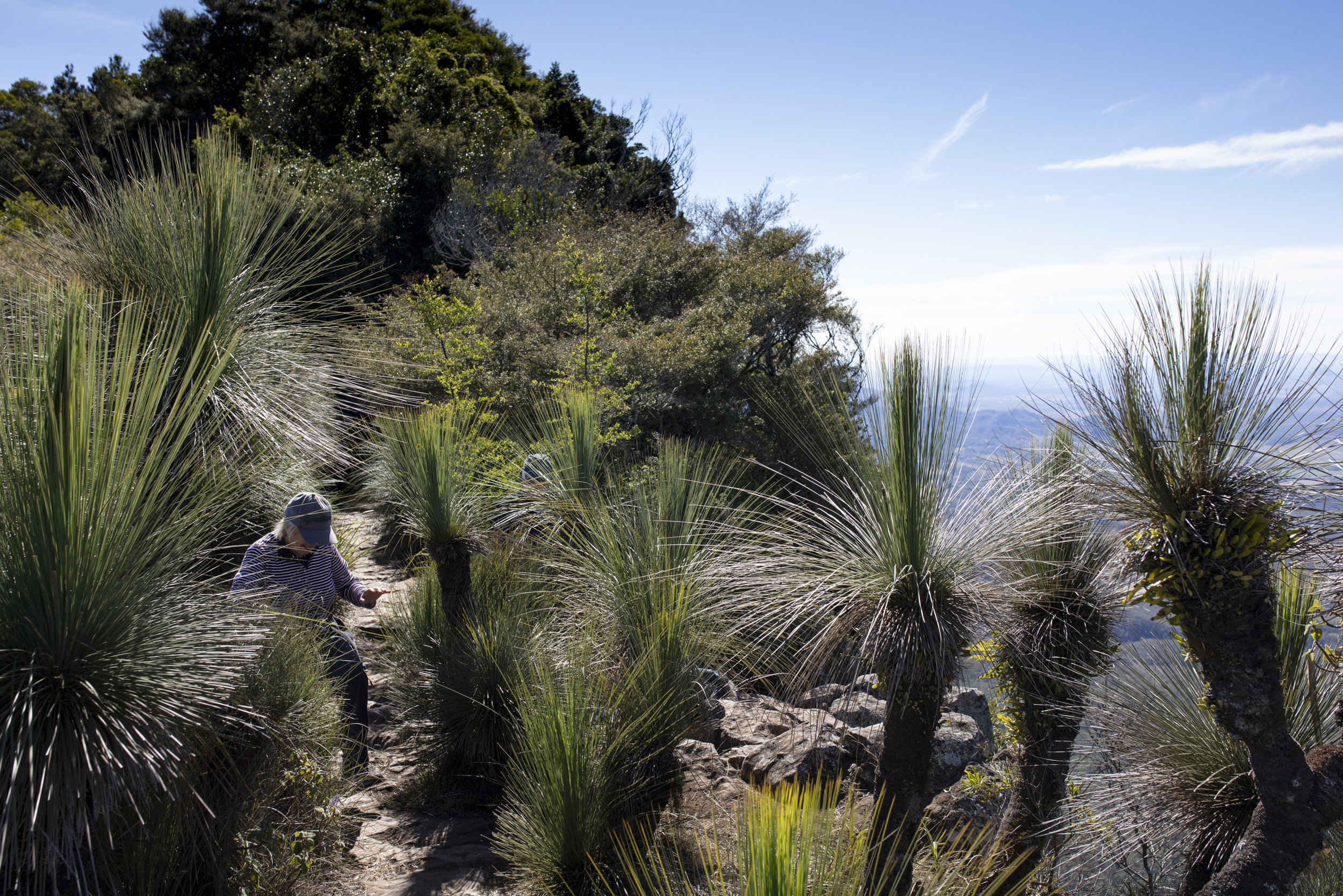  Qantas Magazine/Scenic Rim Walk. On the walk to Mt Mitchell, through the Main Range National Park. This is the view from the Summit of Mt Mitchell
Photography : Russell Shakespeare 