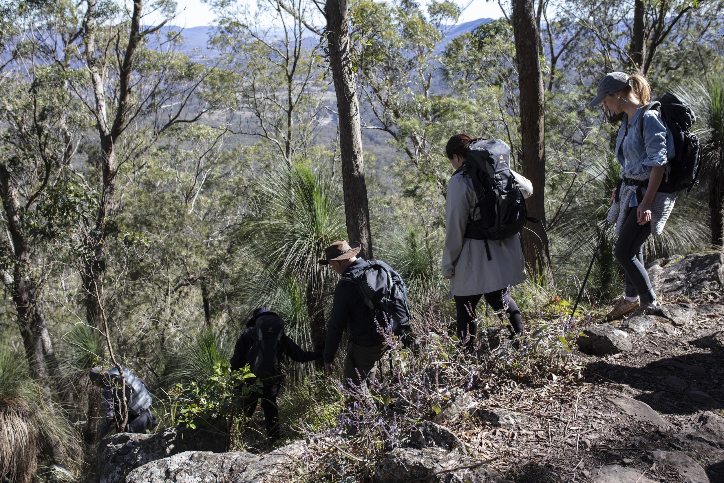  Qantas Magazine/Scenic Rim Walk. On the walk to Mt Mitchell, through the Main Range National Park
Photography : Russell Shakespeare 