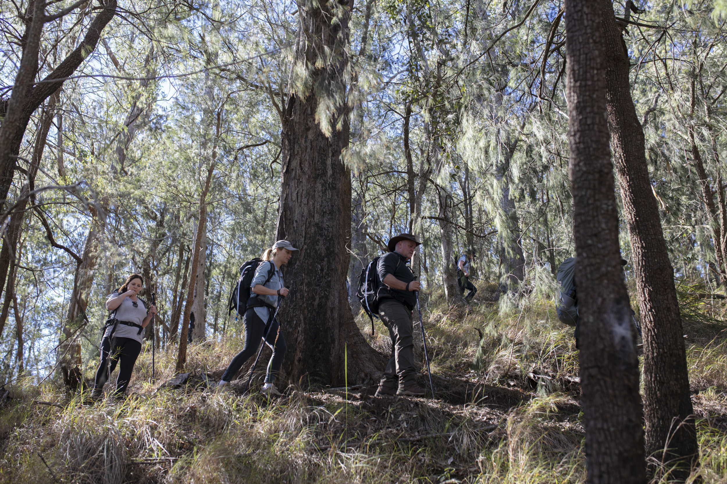  Qantas Magazine/Scenic Rim Walk. On the walk to Mt Mitchell, through the Main Range National Park
Photography : Russell Shakespeare 