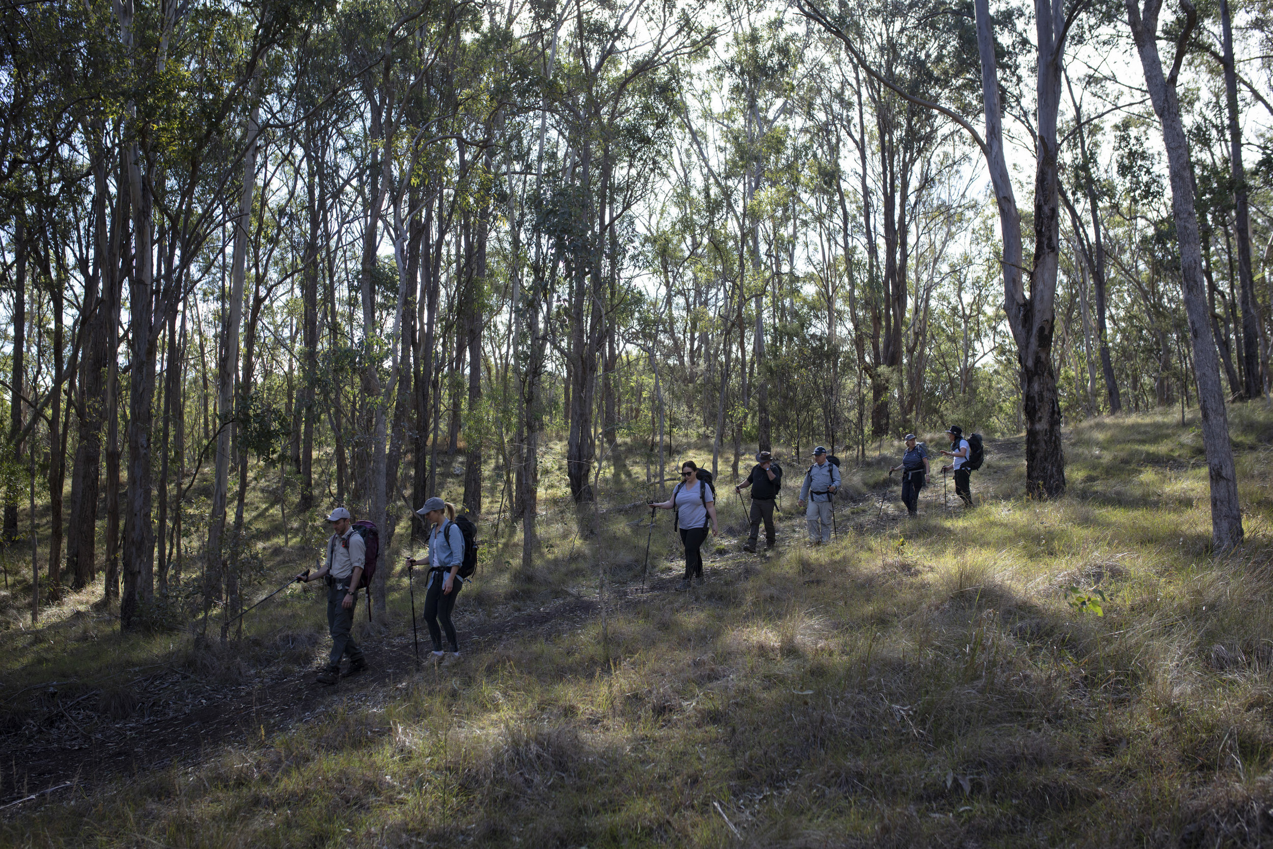  Qantas Magazine/Scenic Rim Walk.
The walk on Spicers Station Land.

Photography : Russell Shakespeare 