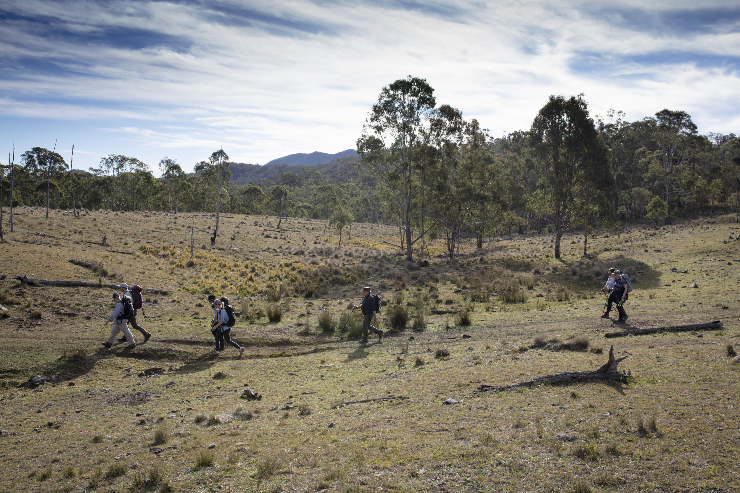  Qantas Magazine/Scenic Rim Walk.
The walk on Spicers Station Land.

Photography : Russell Shakespeare 