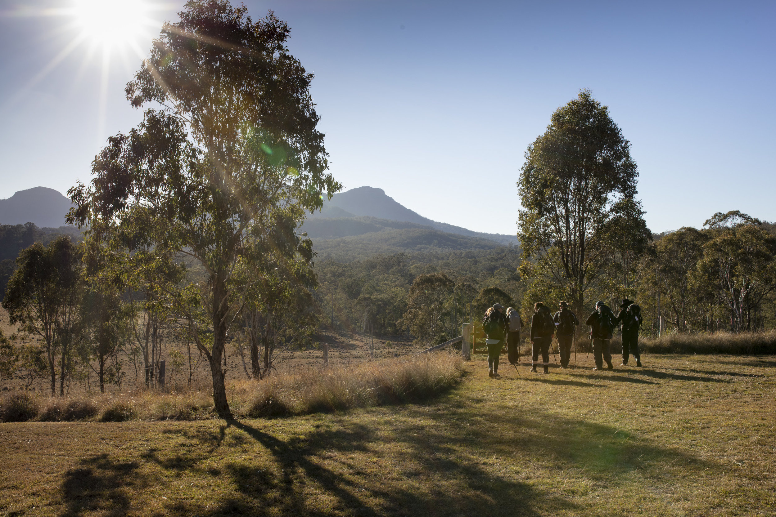  Leaving Spicers Canopy on Day 2 of Qantas Magazine/Scenic Rim Walk.
Photography : Russell Shakespeare 