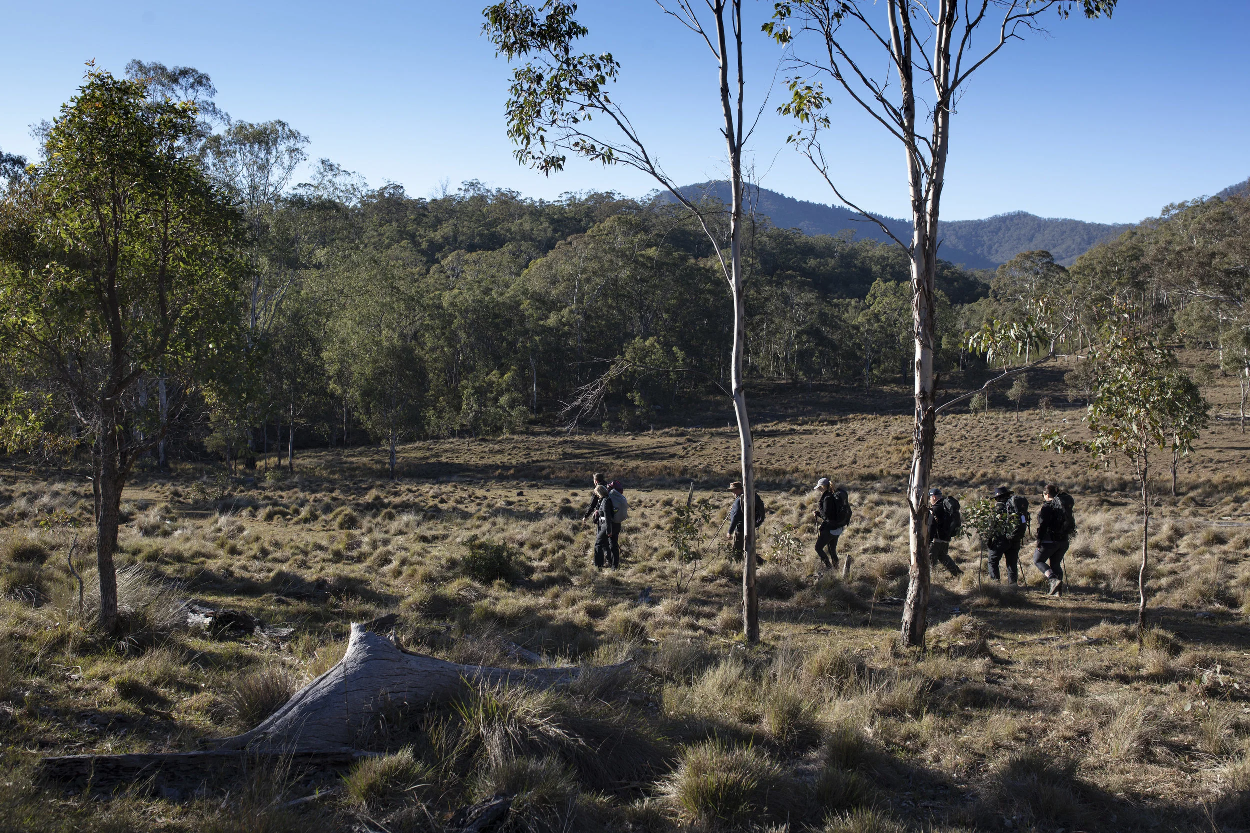  Day 2 of Qantas Magazine/Scenic Rim Walk.
Photography : Russell Shakespeare 