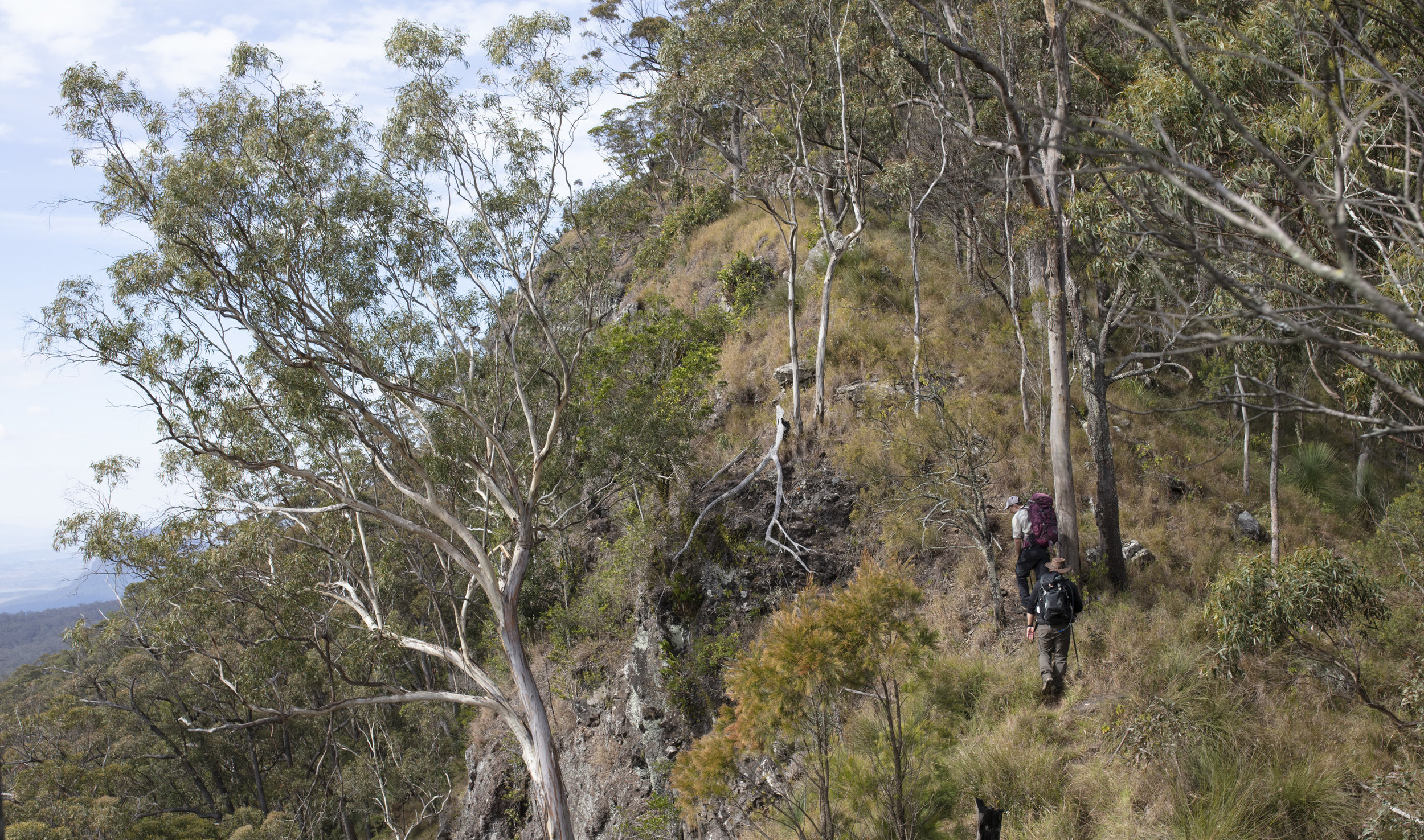  Day 2 of Qantas Magazine/Scenic Rim Walk. Walking the Ridgeline off Spicers Peak.
Photography : Russell Shakespeare 