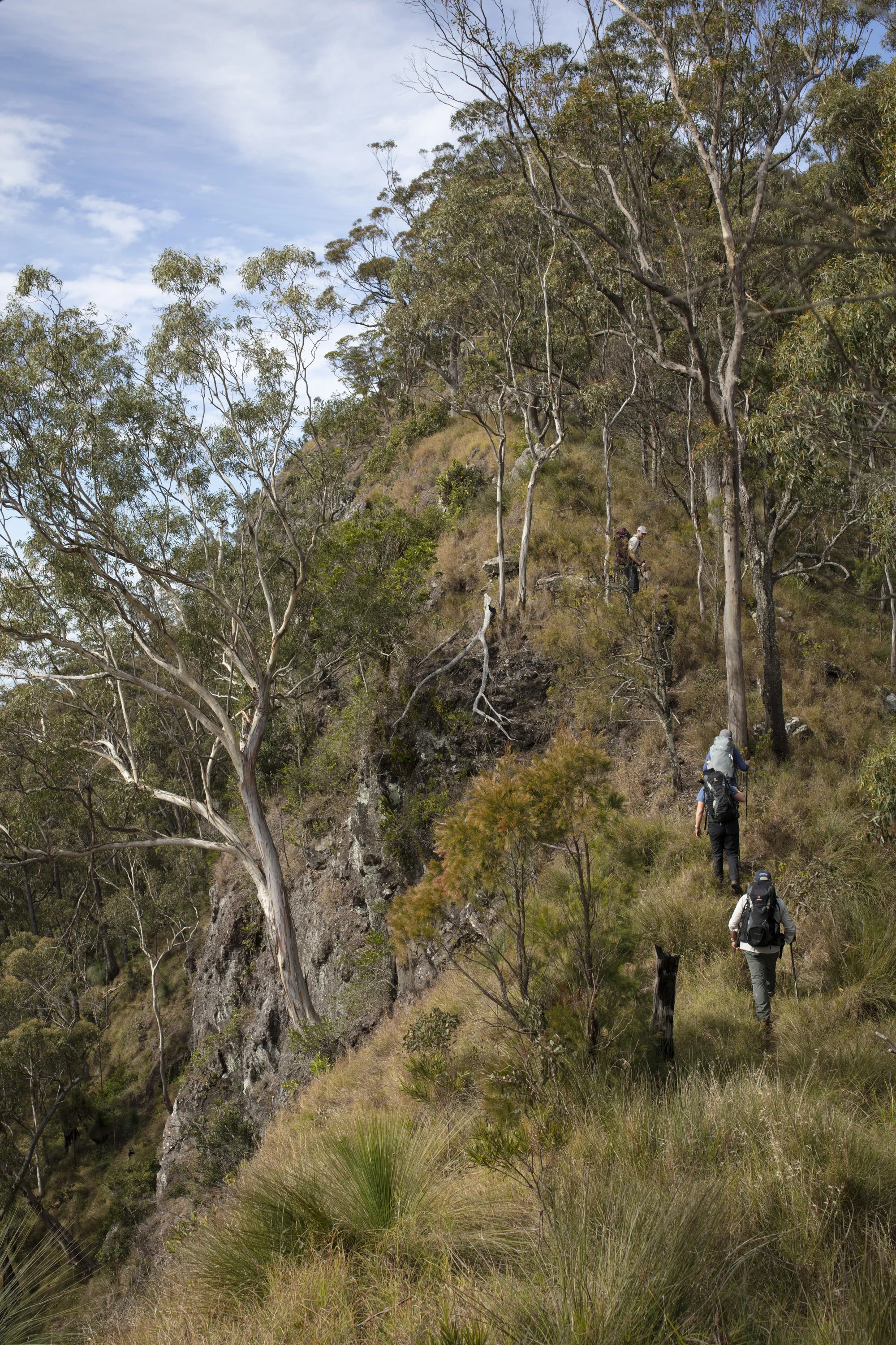 Day 2 of Qantas Magazine/Scenic Rim Walk. Walking the Ridgeline off Spicers Peak.
Photography : Russell Shakespeare 