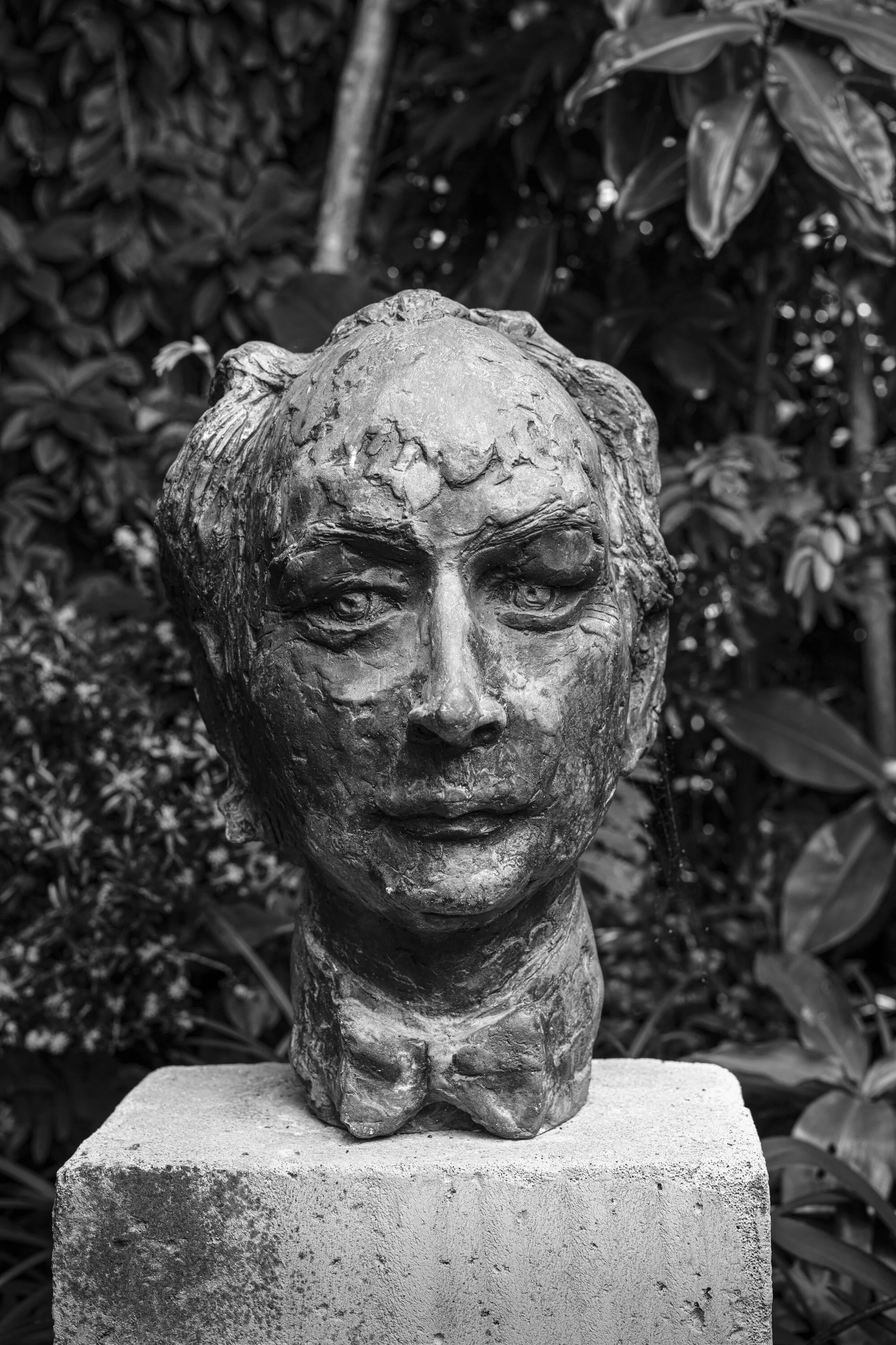  The Artist Marc Clark photographed at Home in Deception Bay, Qld, Australia  