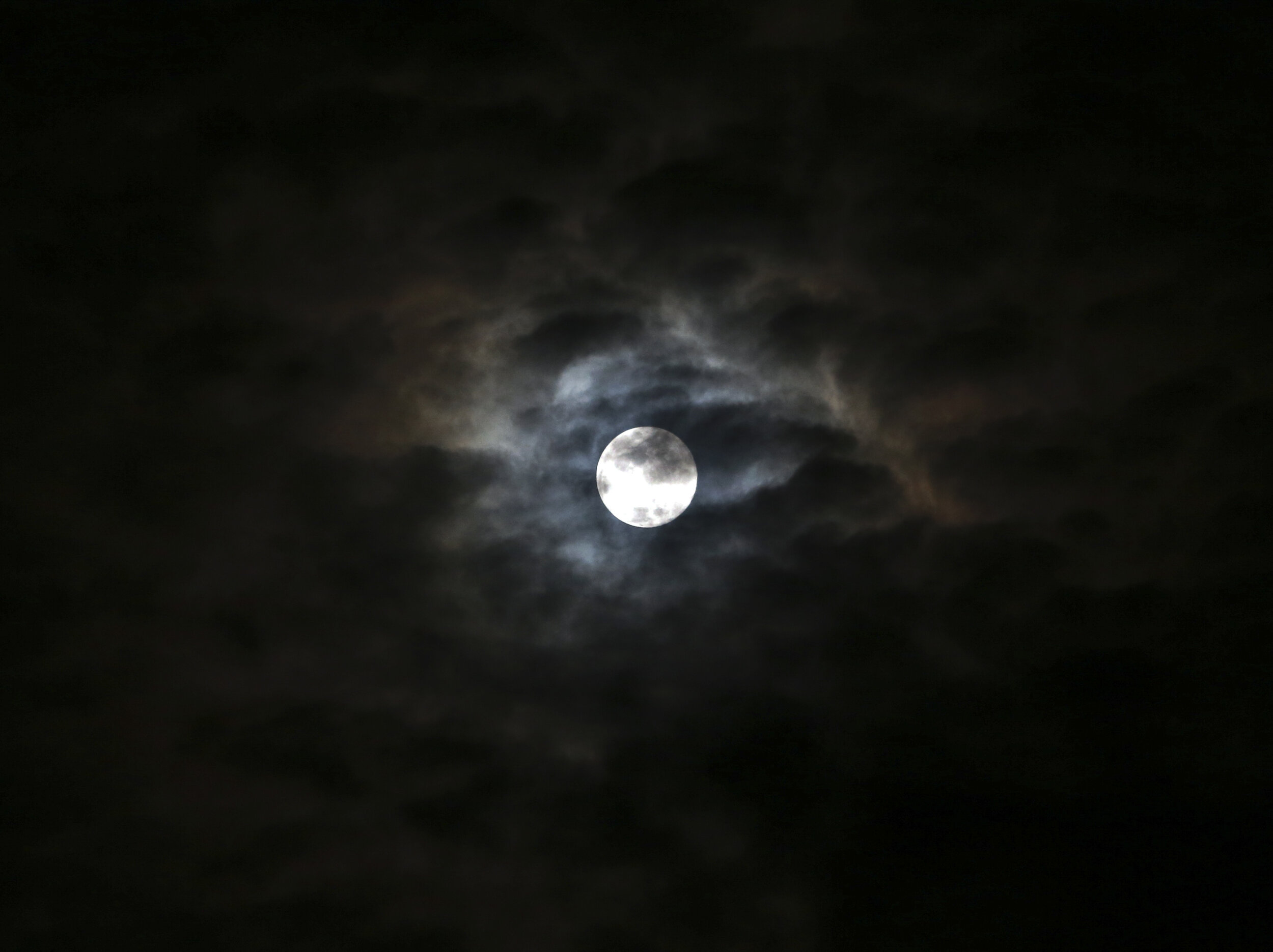  Blue Moon over Steve Irwin Wildlife Reserve, 2012, (file shot, copyright Russell Shakespeare/Australia Zoo) 