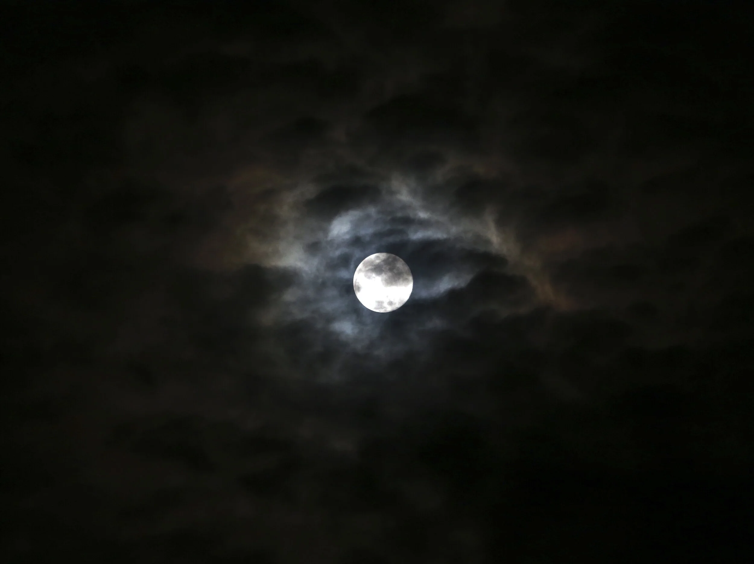  Blue Moon over Steve Irwin Wildlife Reserve, 2012, (file shot, copyright Russell Shakespeare/Australia Zoo) 