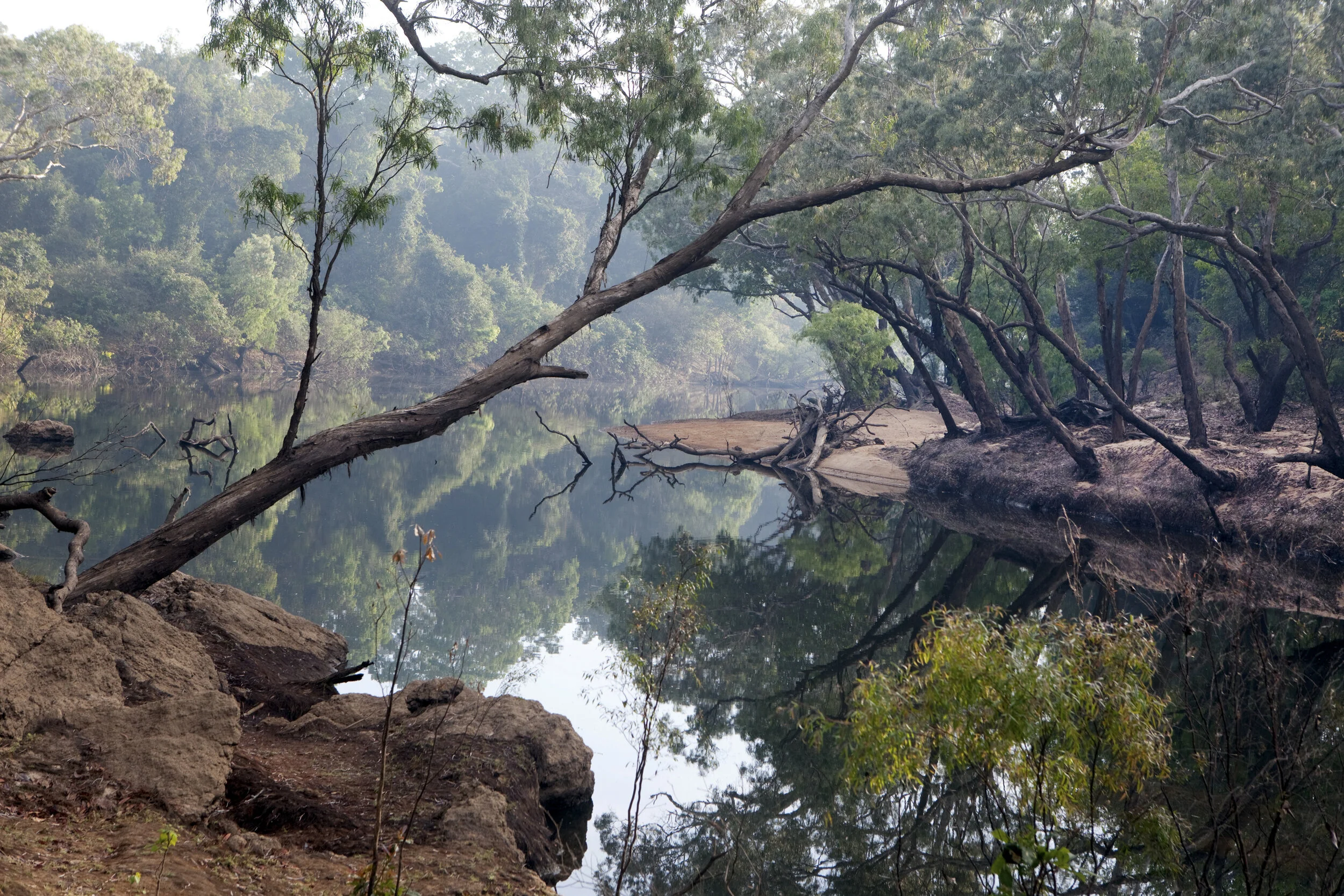  "The Meeting Pace" Wenlock River 