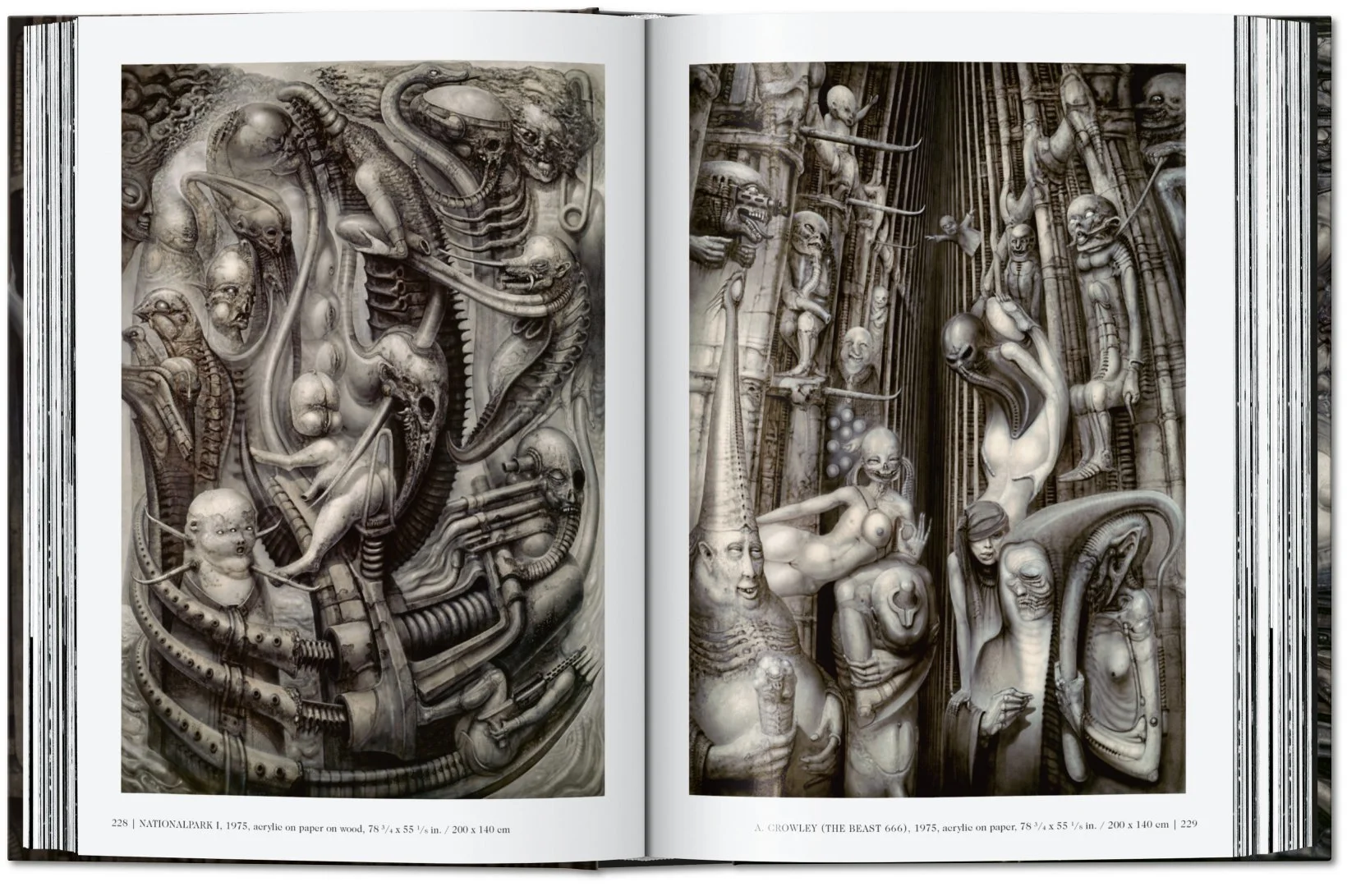 giger_40_int_open001_228_229_40700_2110291244_id_1371518.jpg