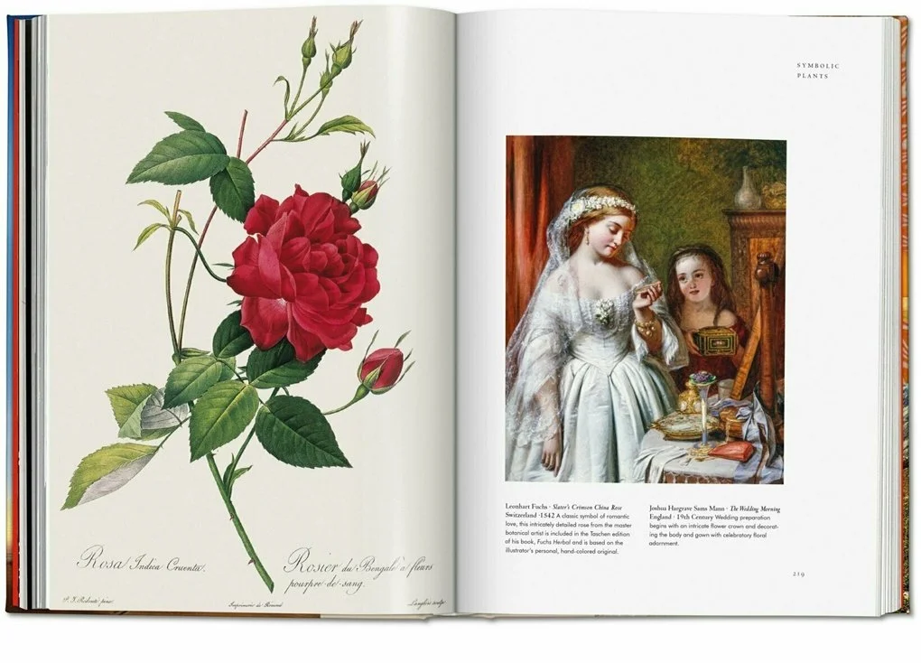 plant-magick-book-3.jpg