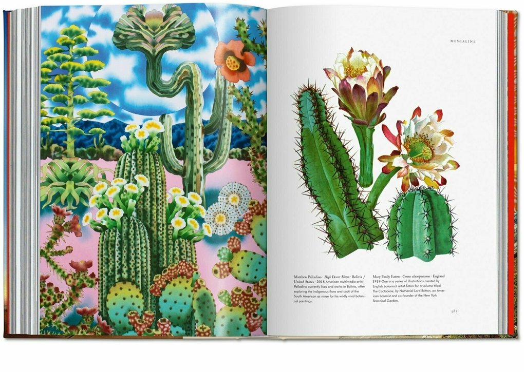 plant-magick-book-4.jpg