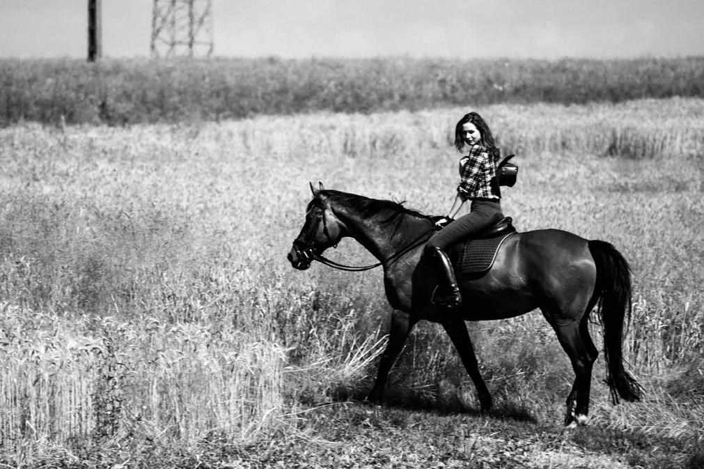 plener_2 211-Edit_DxO.jpg