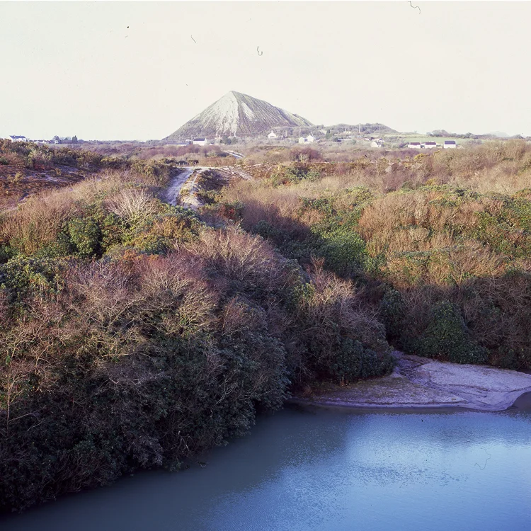 RIVER.THOMPSONwild.test1.jpg