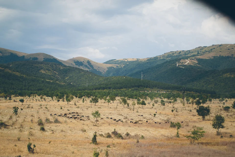 fotovika-2467.jpg
