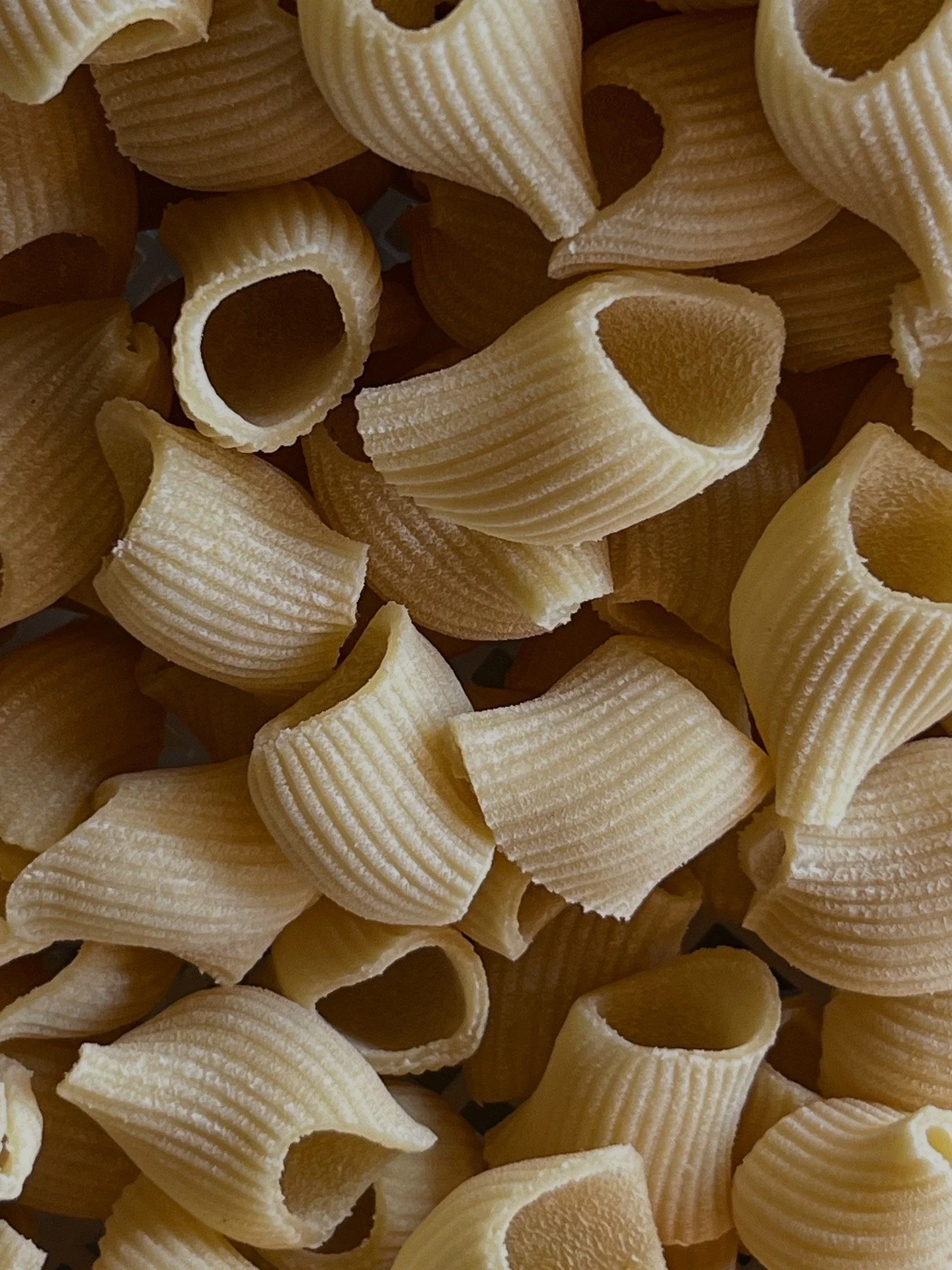 organic rigatone, where to eat fresh handmade pasta in Copenhagen