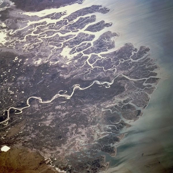 Photograph of the Indus River Delta taken by NASA