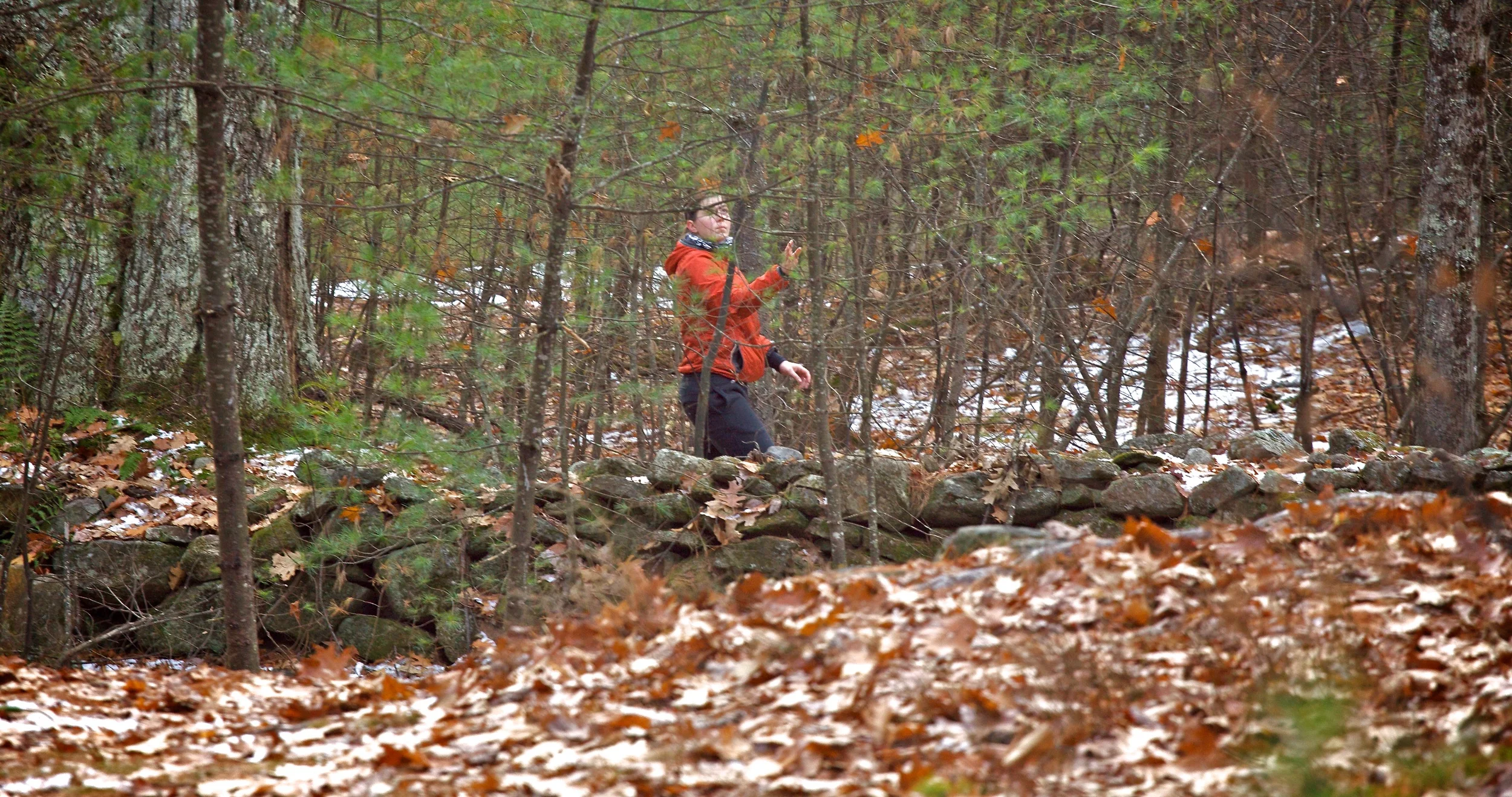 IMG_4635.jpg