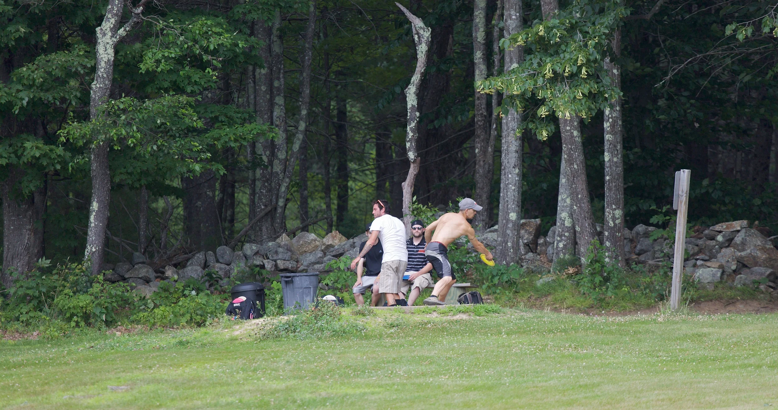 IMG_1335.jpg