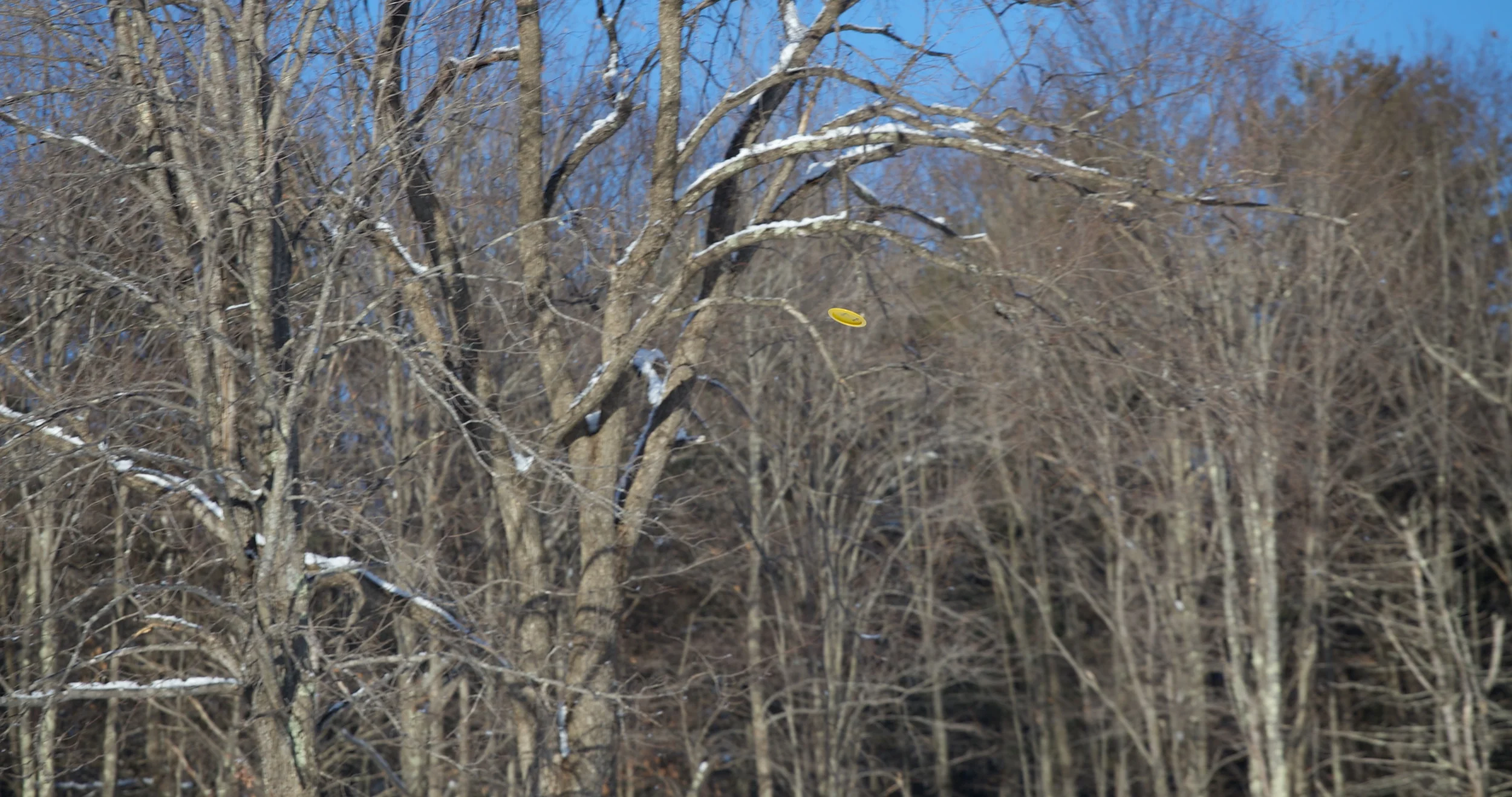 IMG_8996.jpg