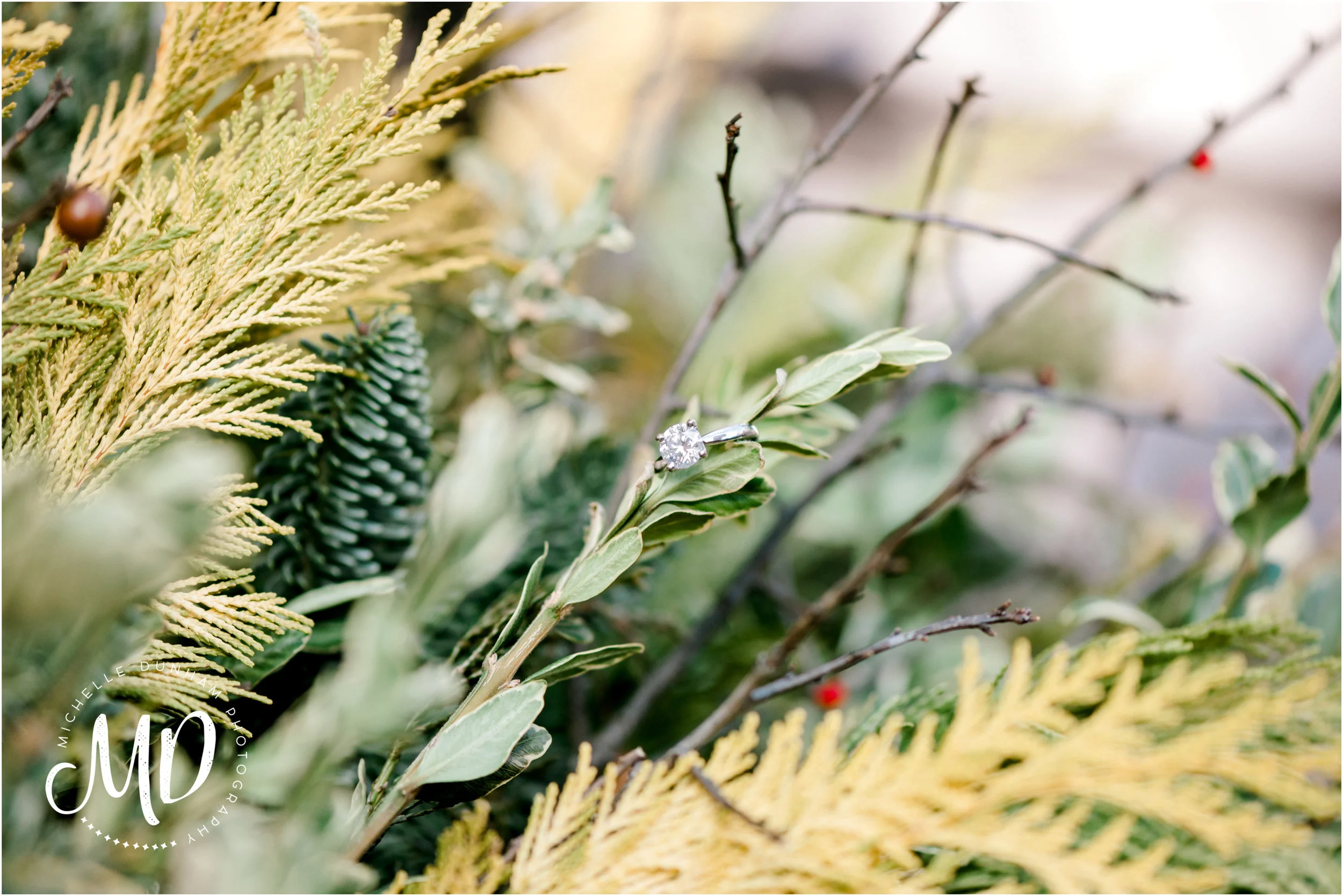Michelle-Dunham-Photography-Beacon-Hill-Engagement-15.jpg