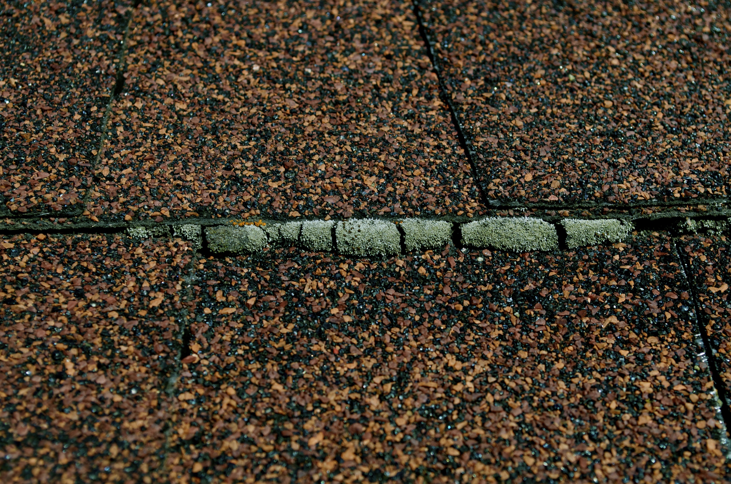 Roof Cleaning