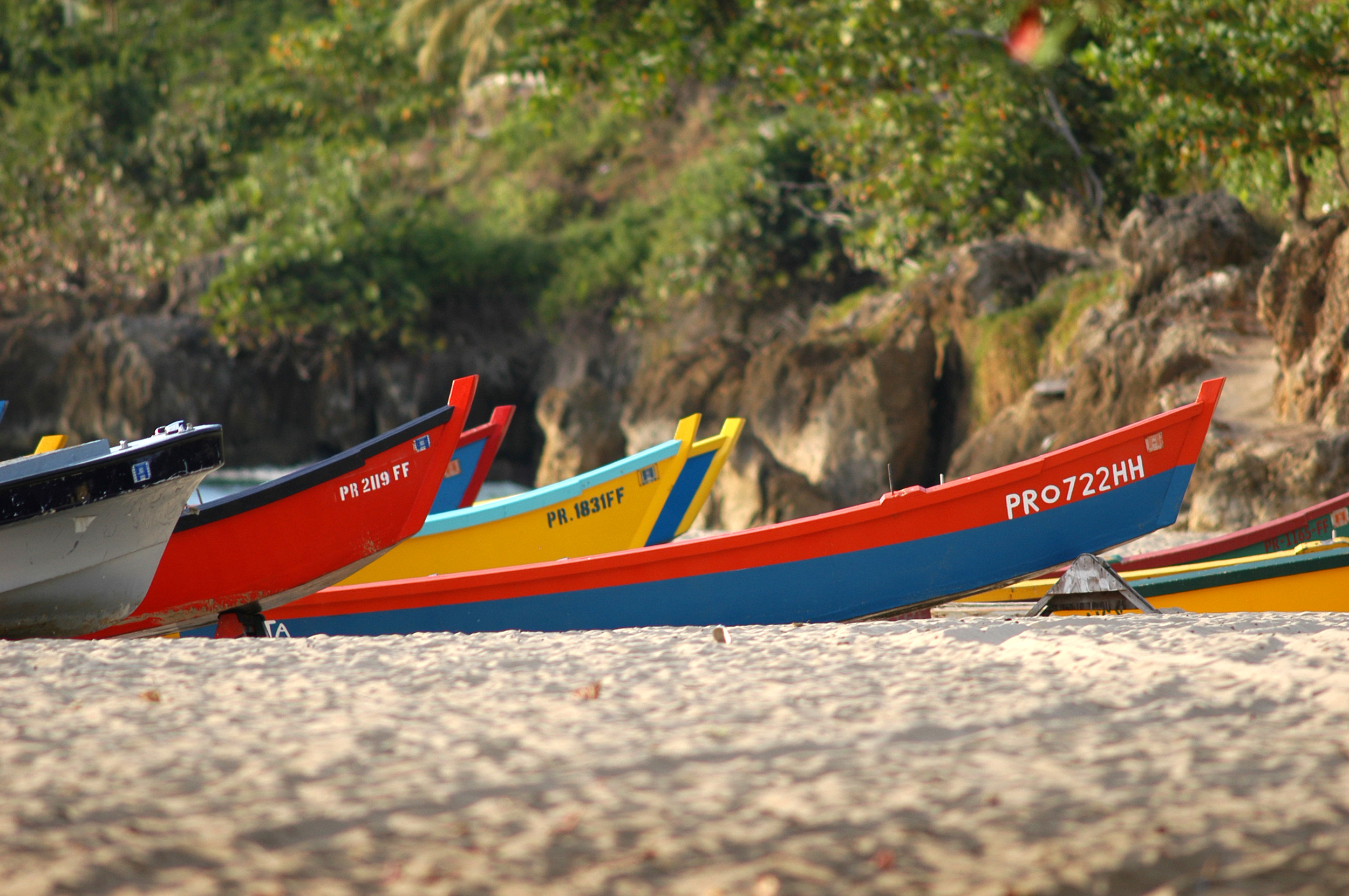 Botes 2.jpg