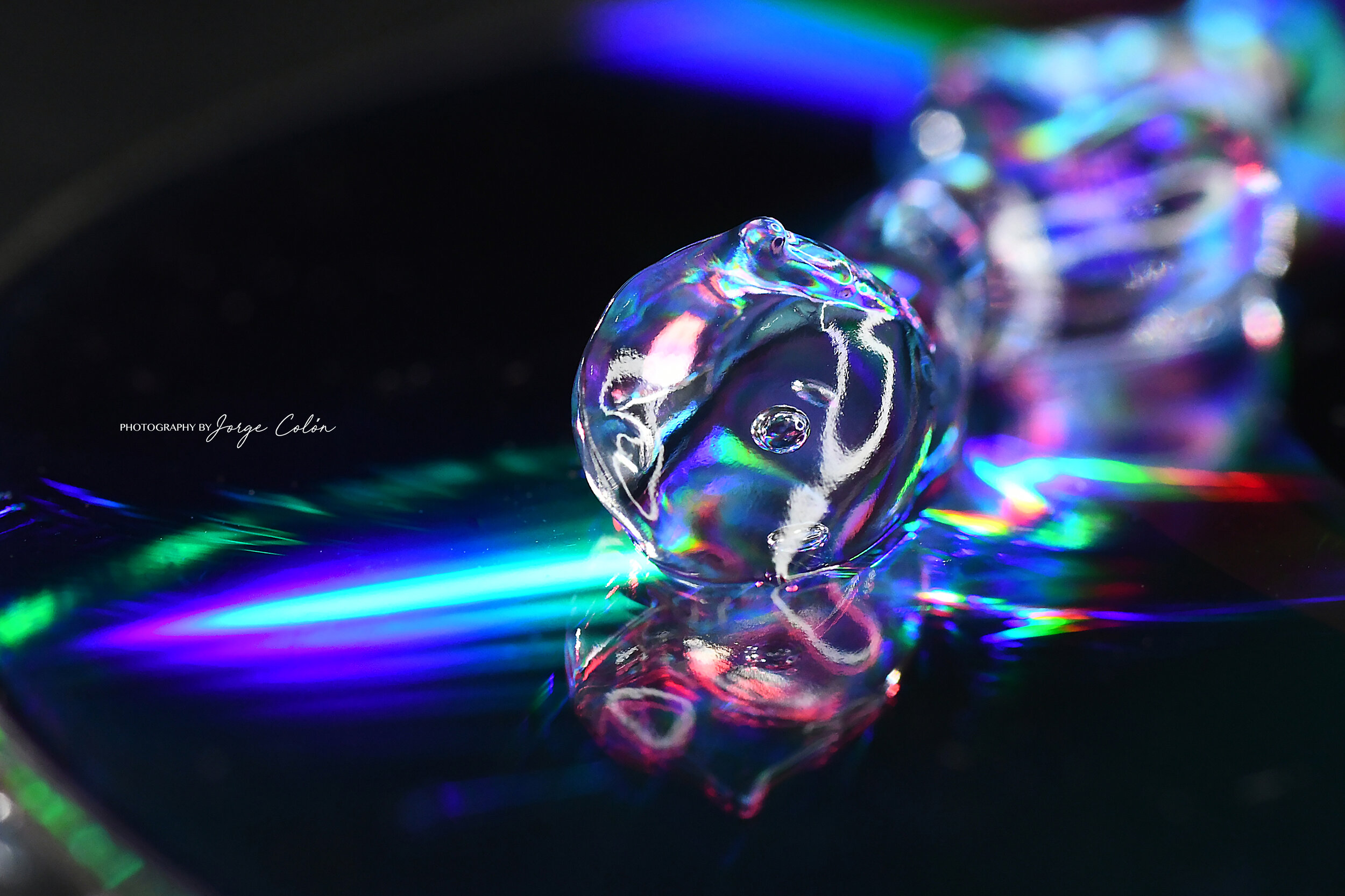 JCP_0386.jpg