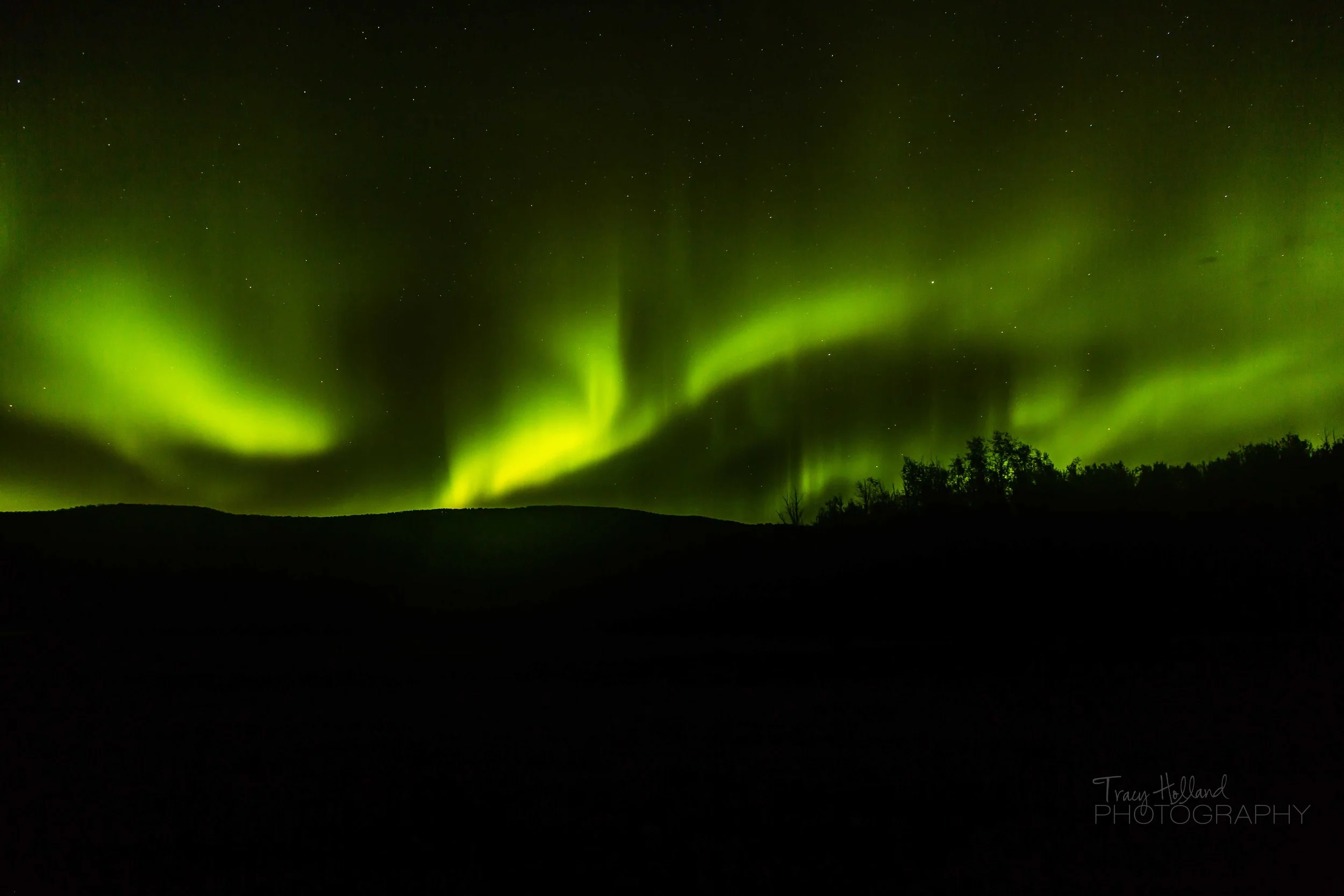 Aurora 082214-9383.jpg