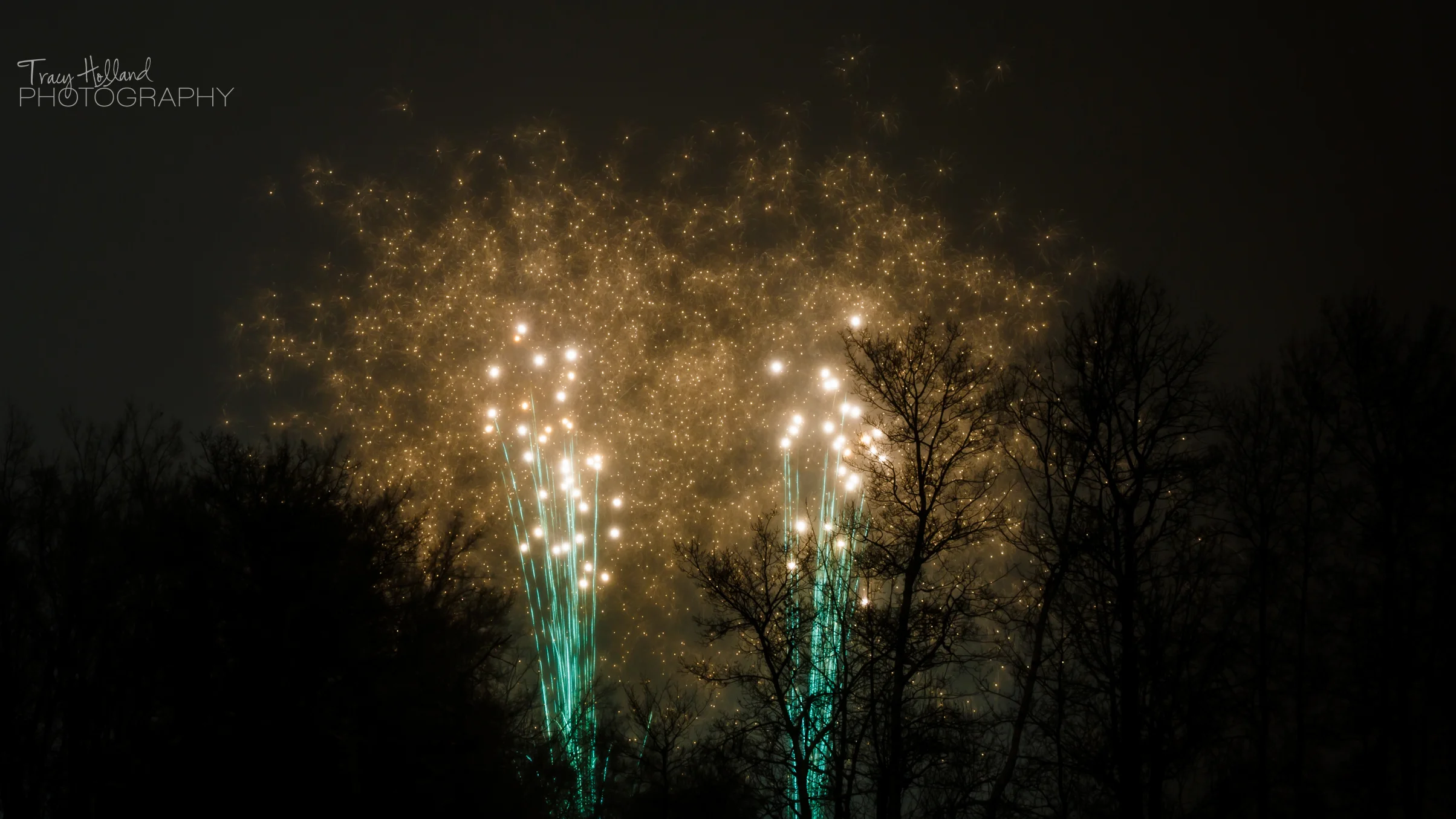New Year 15 Fireworks-9679.jpg