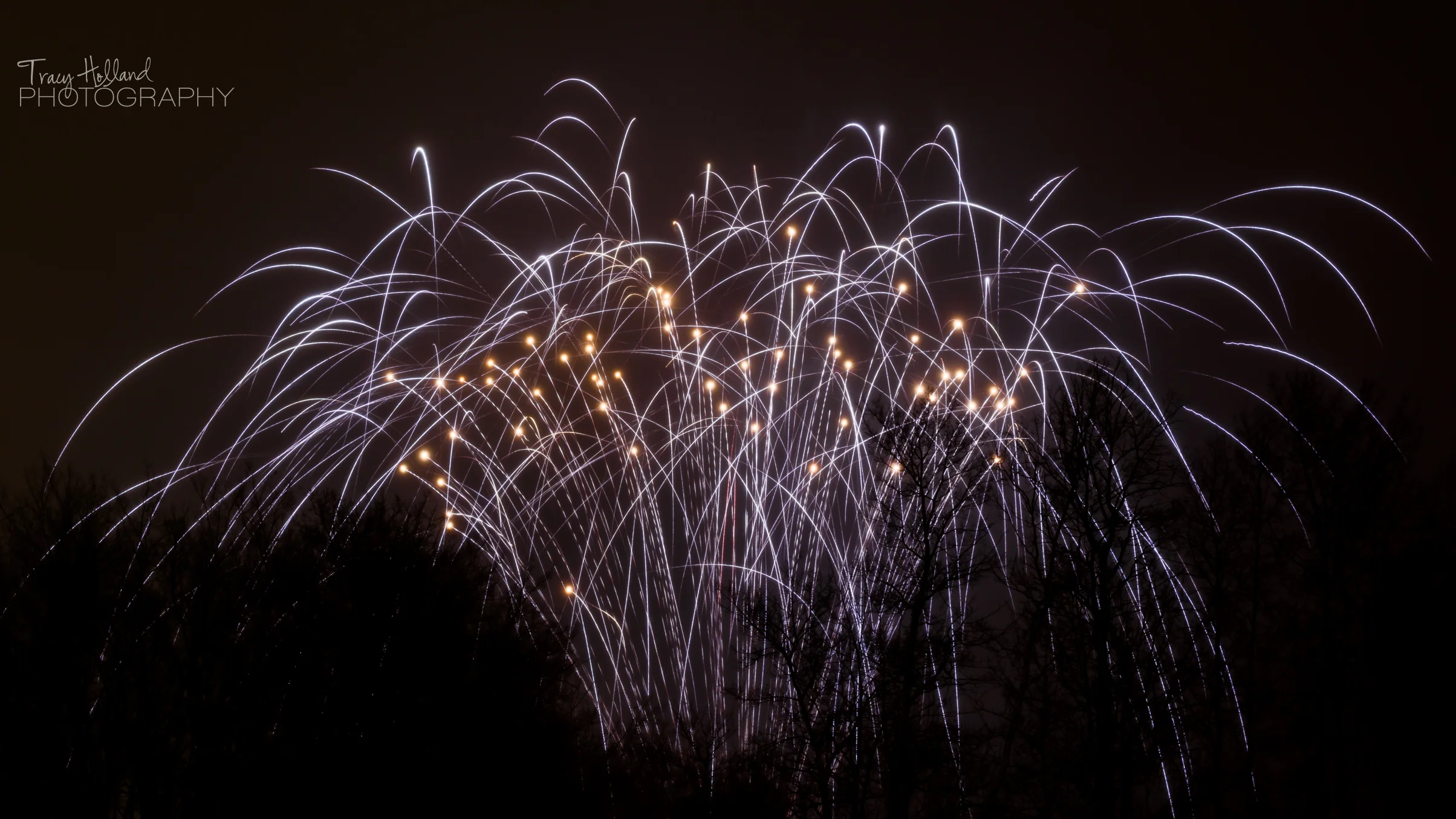 New Year 15 Fireworks-9681.jpg