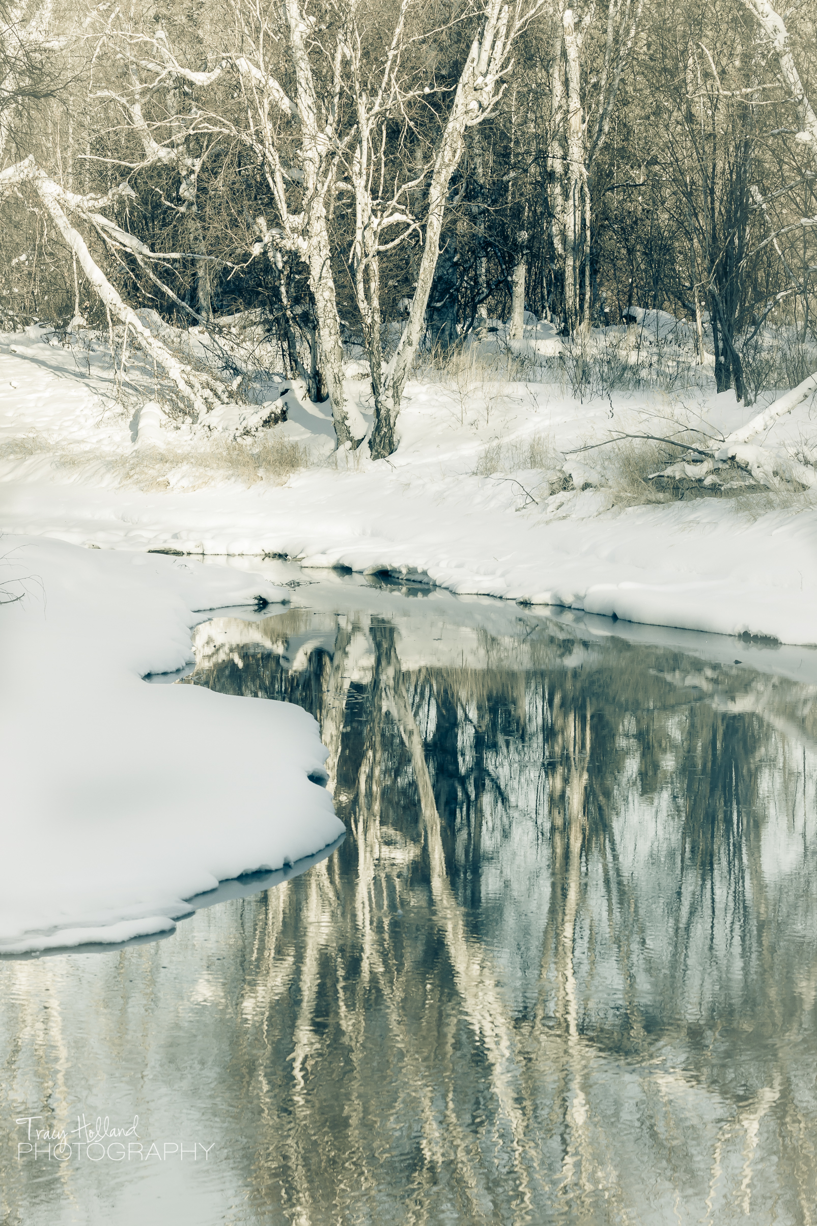 YMM Hot Springs - 01 . 18 . 15