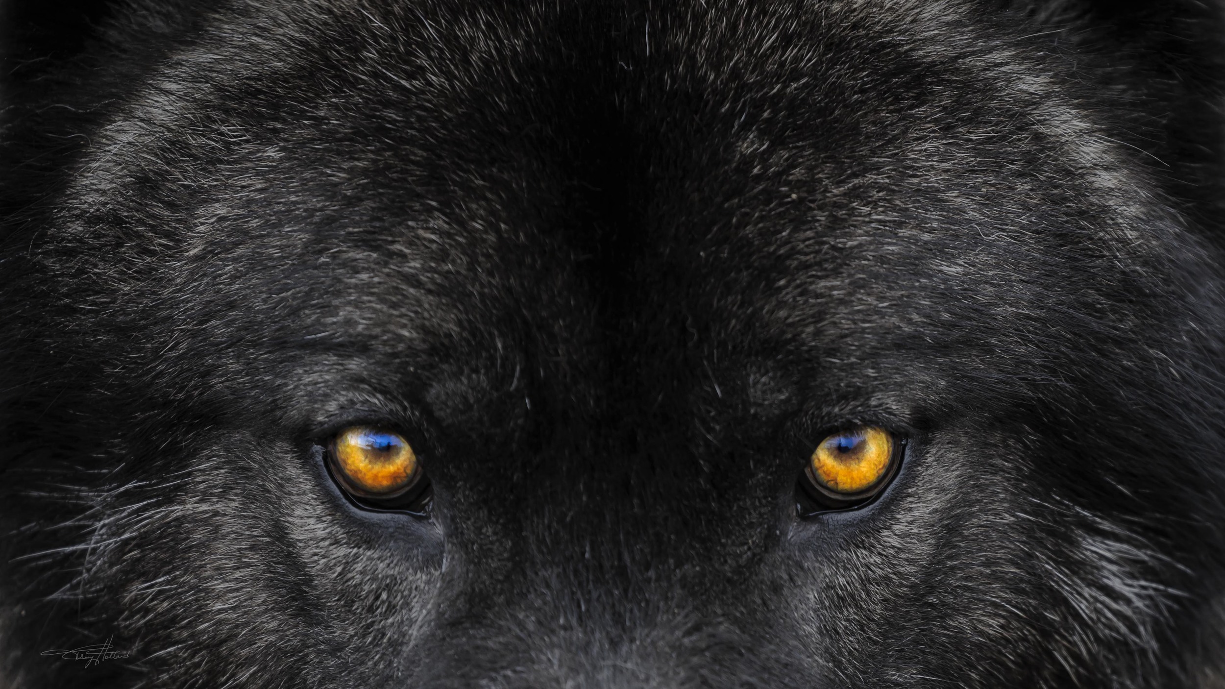 Intense