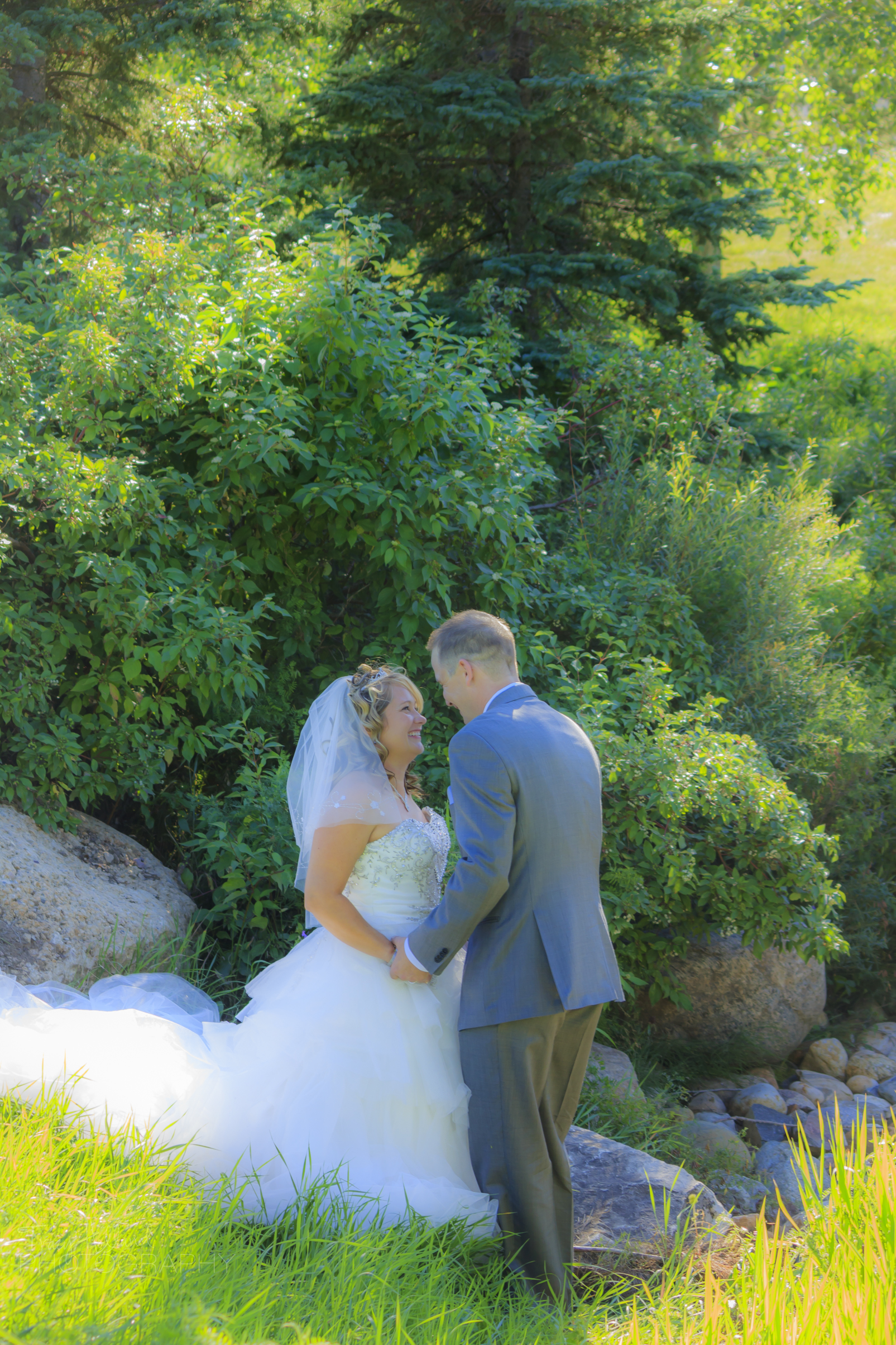 Morrison Wed 081713-8713.jpg