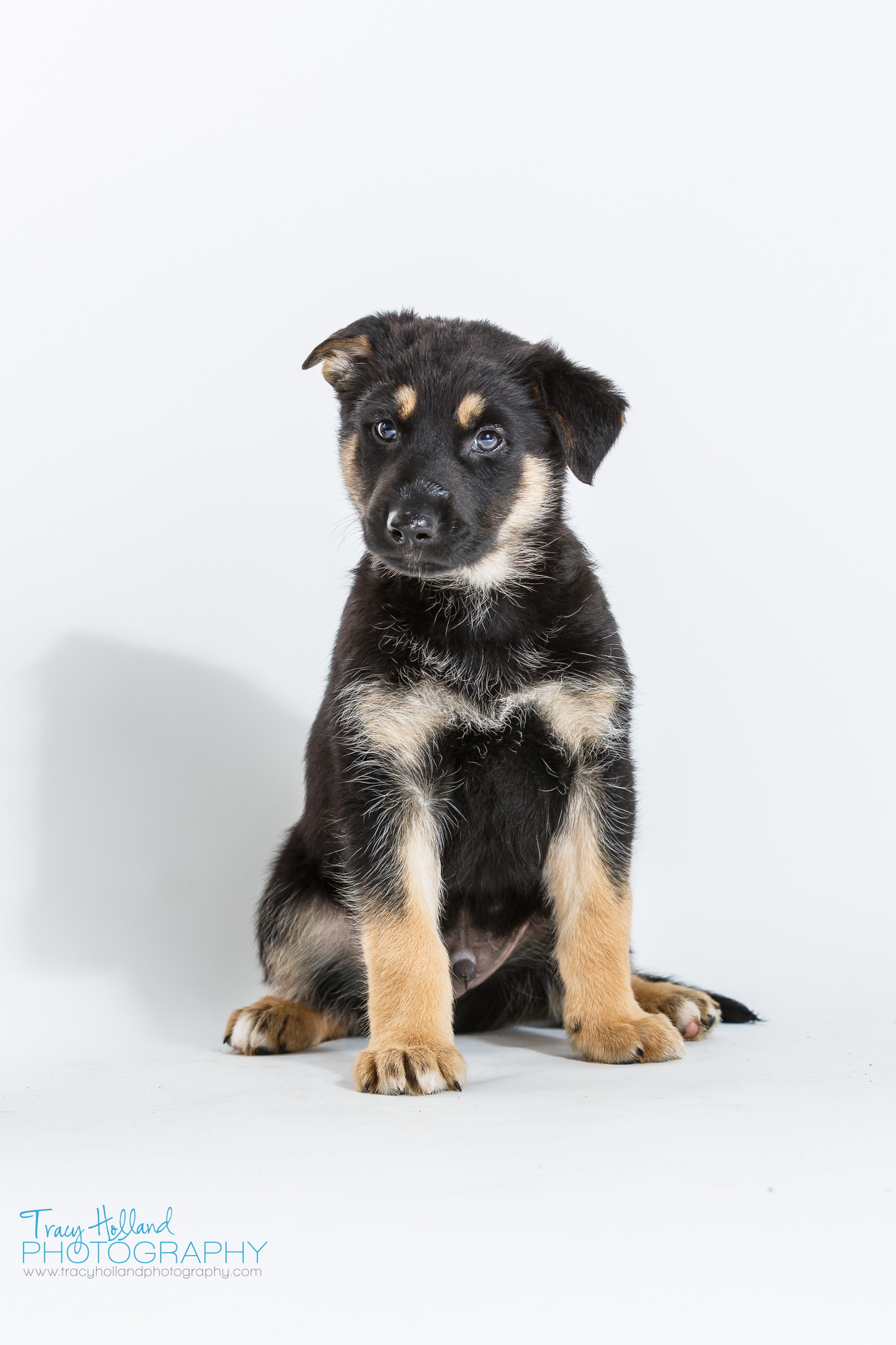 FMSPCA's Youngest