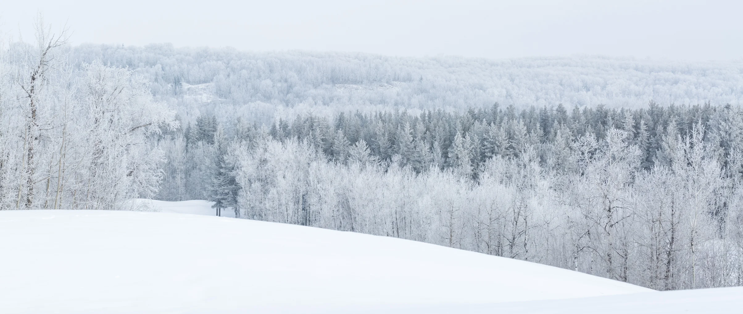 Hoar Frost 012517-2059.jpg